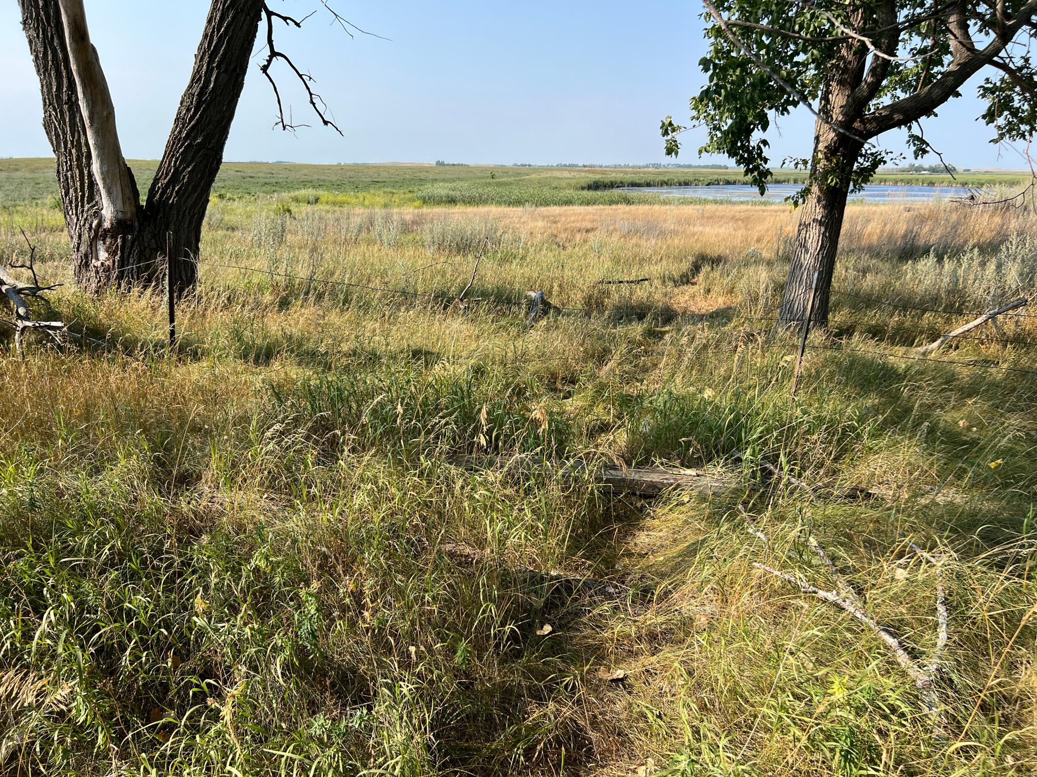 1938 single family home for sale at 10441 County Road 14 in Binford, ND — 4 bed, 1 bath (photo 94 of 94)
