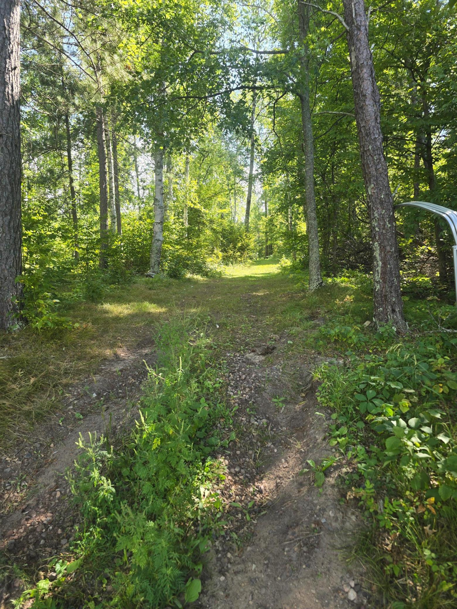 38509 Pickerel Trail, Crosslake MN 56442 - Photo 48 of 61