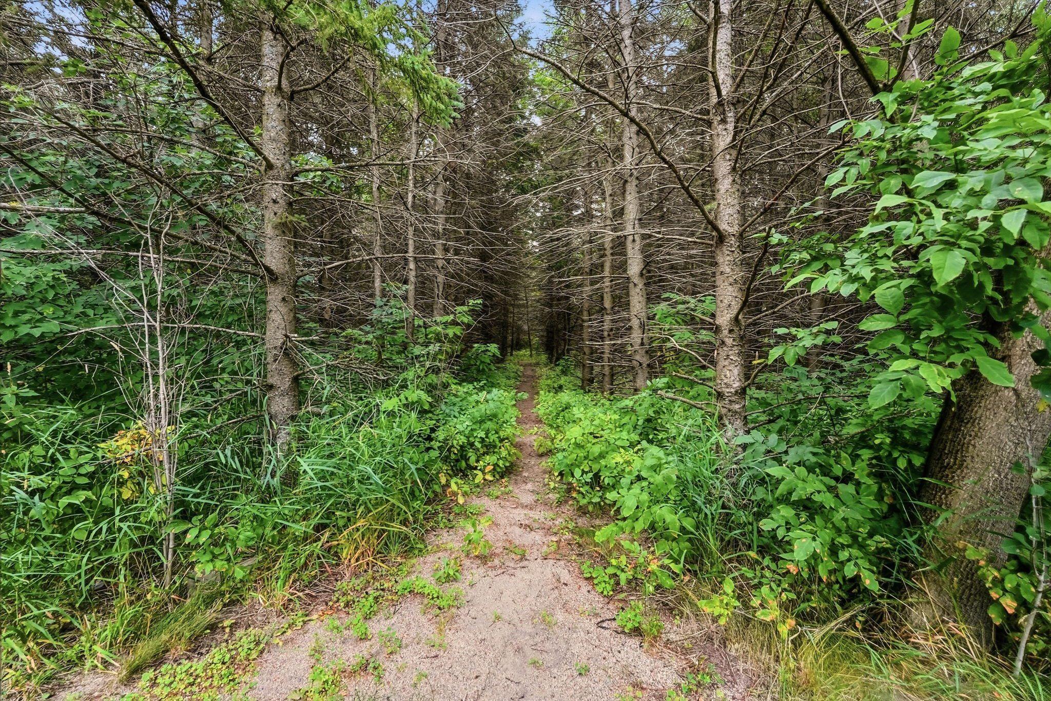 3405 Pawnee Drive SE, Alexandria MN 56308 - Photo 82 of 96