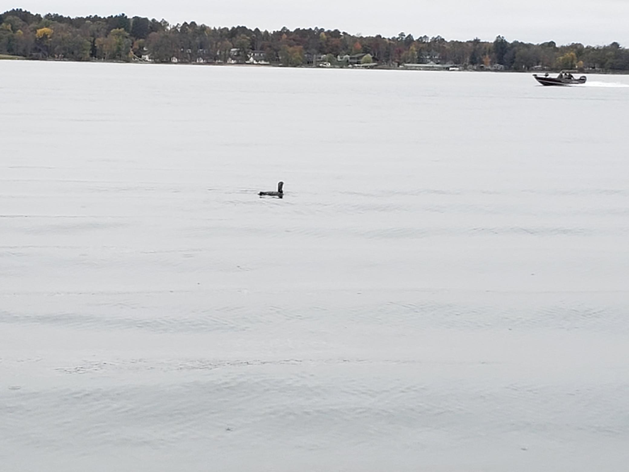 16634 Hightop Way NW, Cass Lake MN 56633 - Photo 92 of 130
