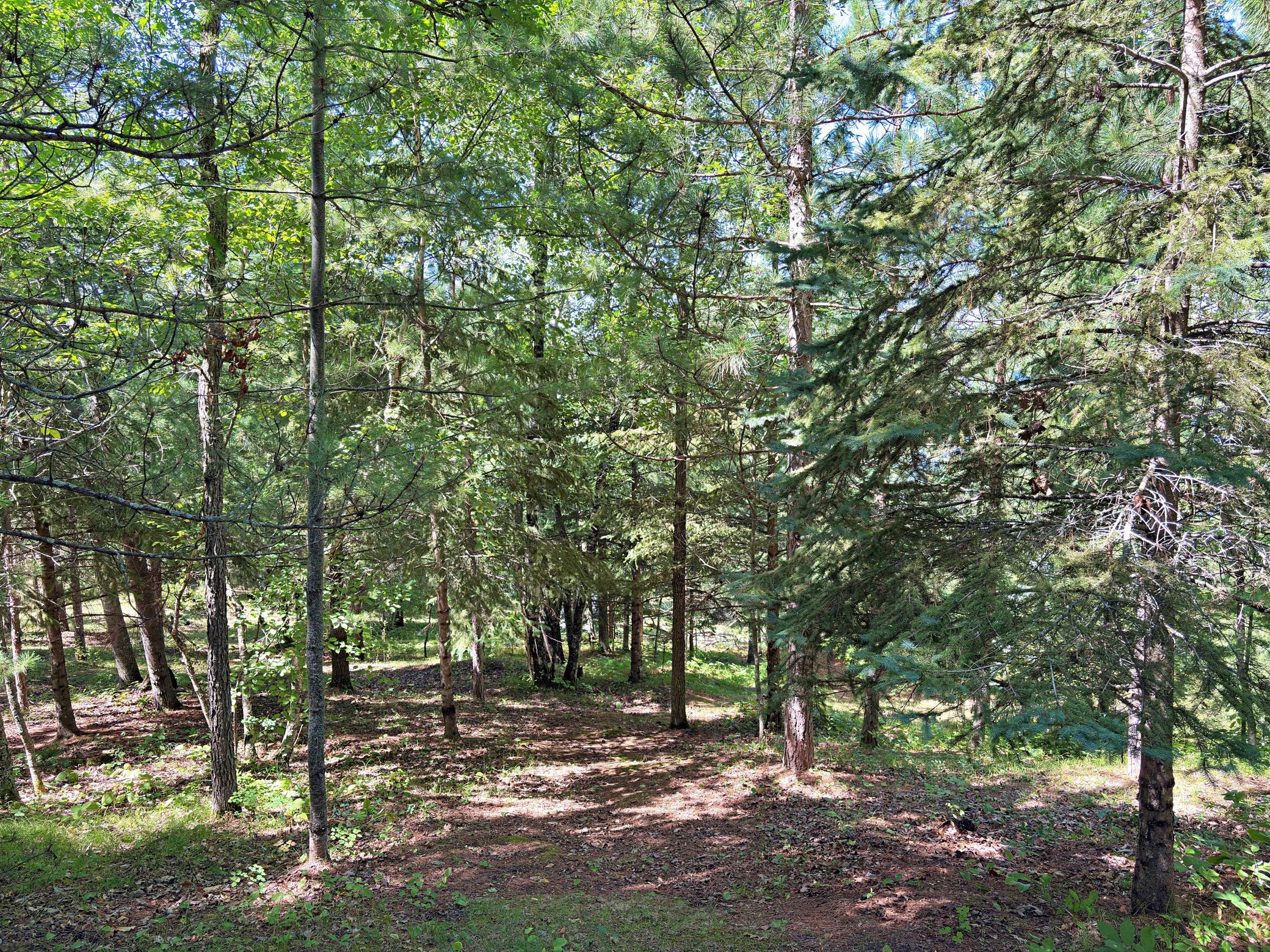 1986 single family home for sale at 9962 Knotty Pine Drive in Park Rapids, MN — 2 bed, 2 bath (photo 39 of 48)