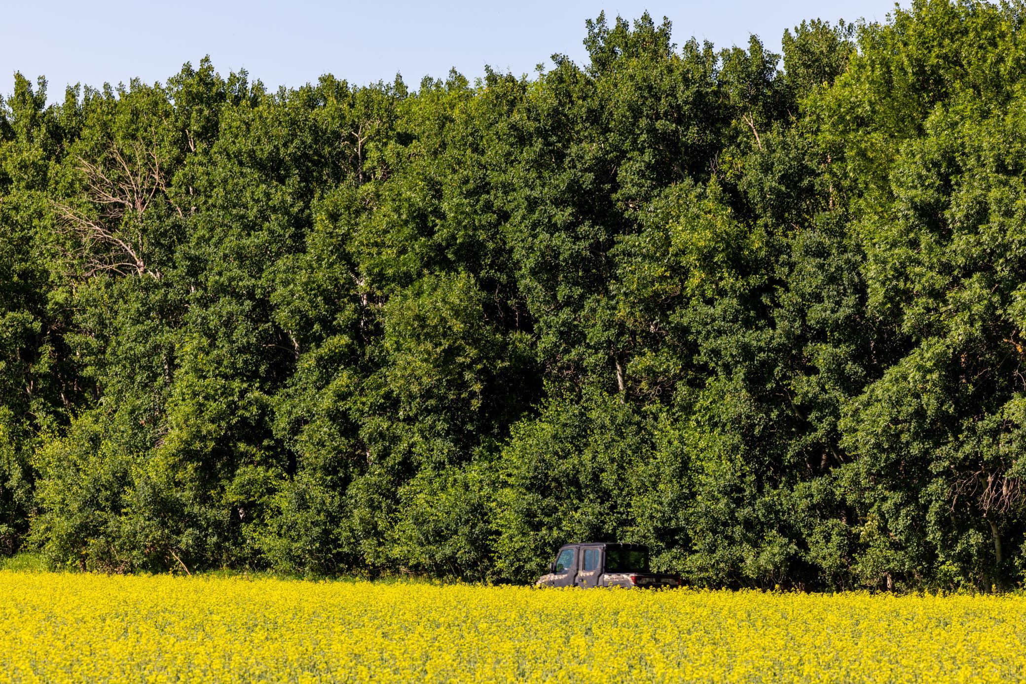 land for sale at TBD Lake Road in Bottineau, ND (photo 2 of 74)