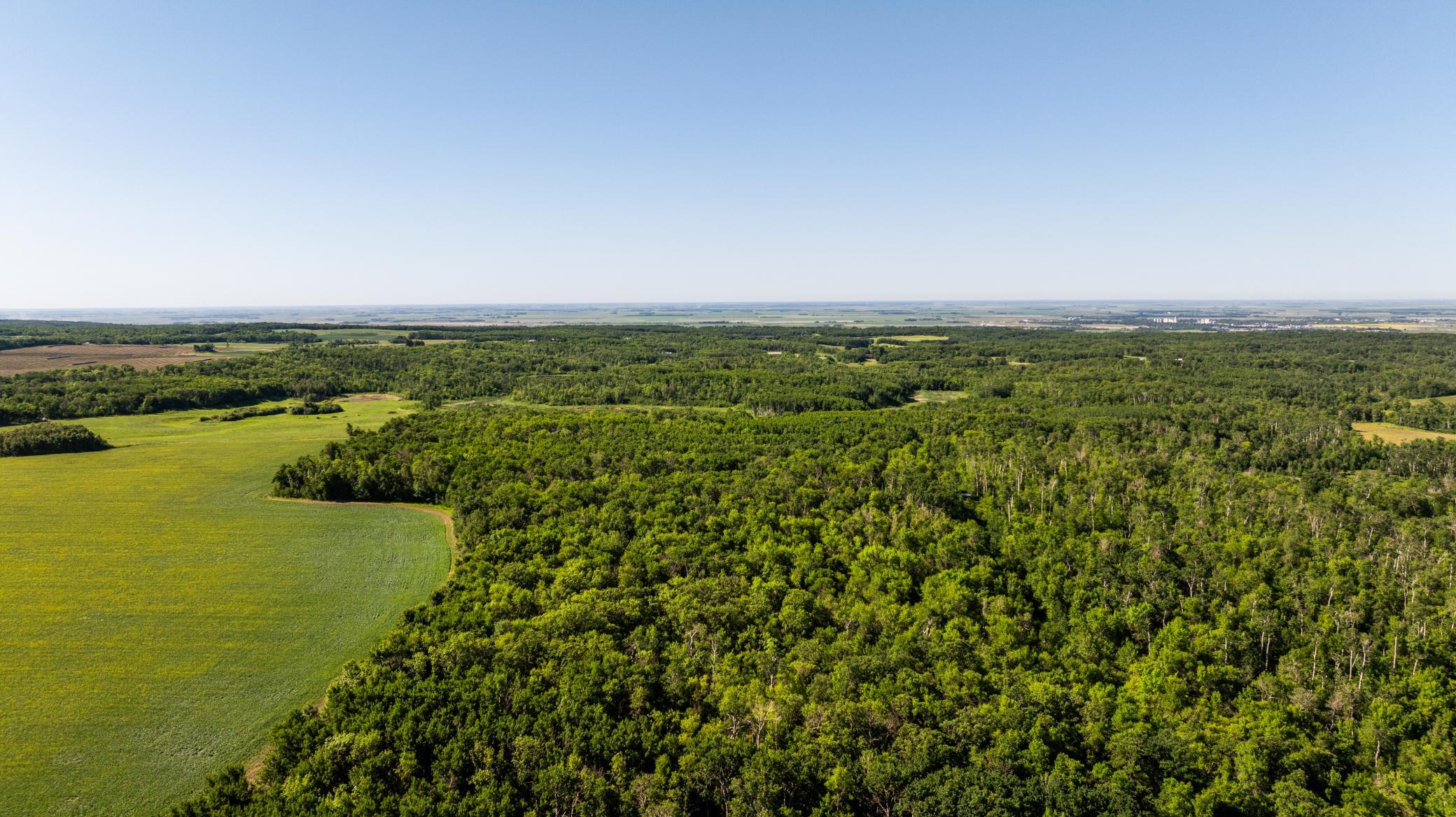 land for sale at TBD Lake Road in Bottineau, ND (photo 14 of 74)