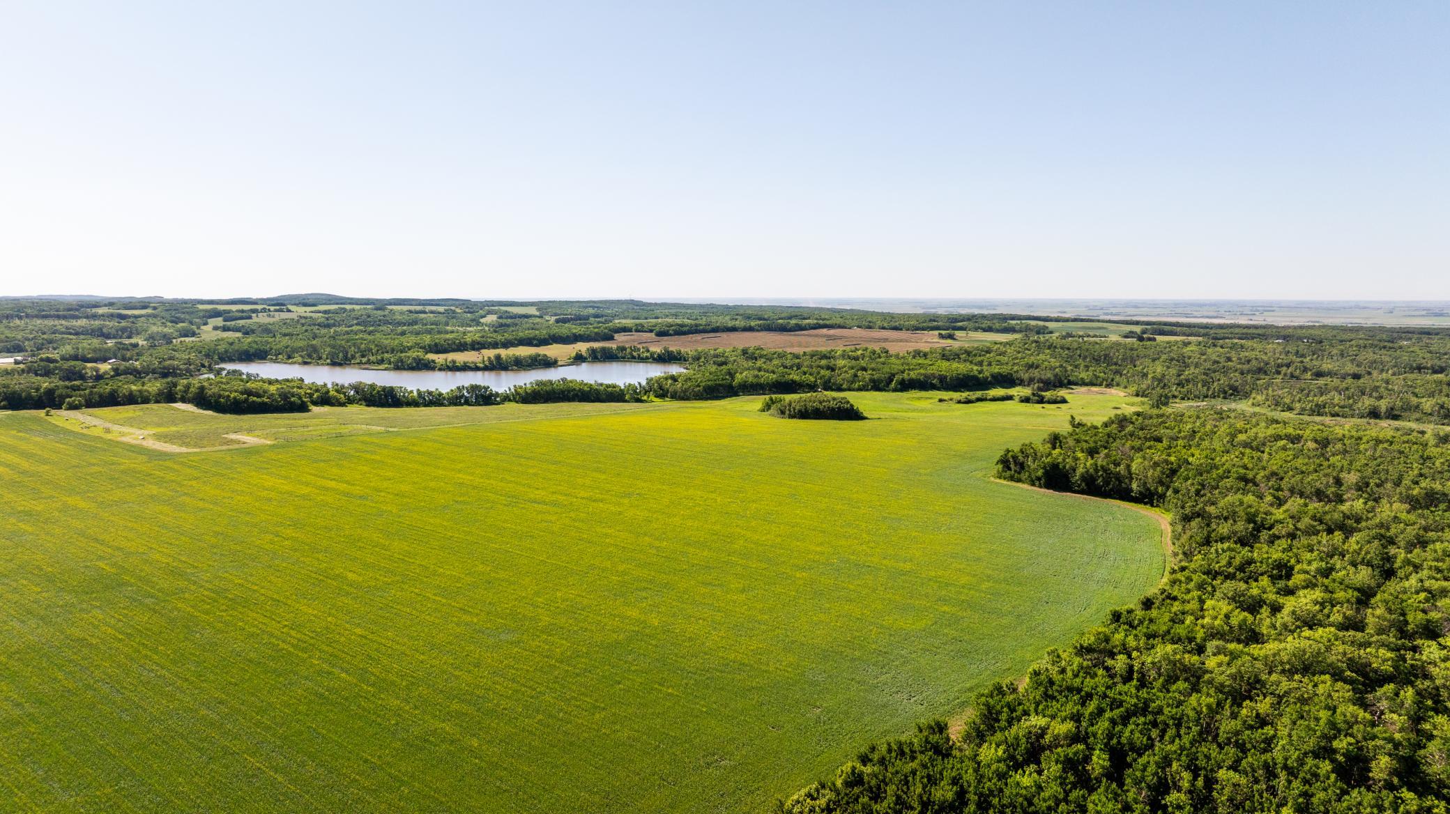 land for sale at TBD Lake Road in Bottineau, ND (photo 15 of 74)
