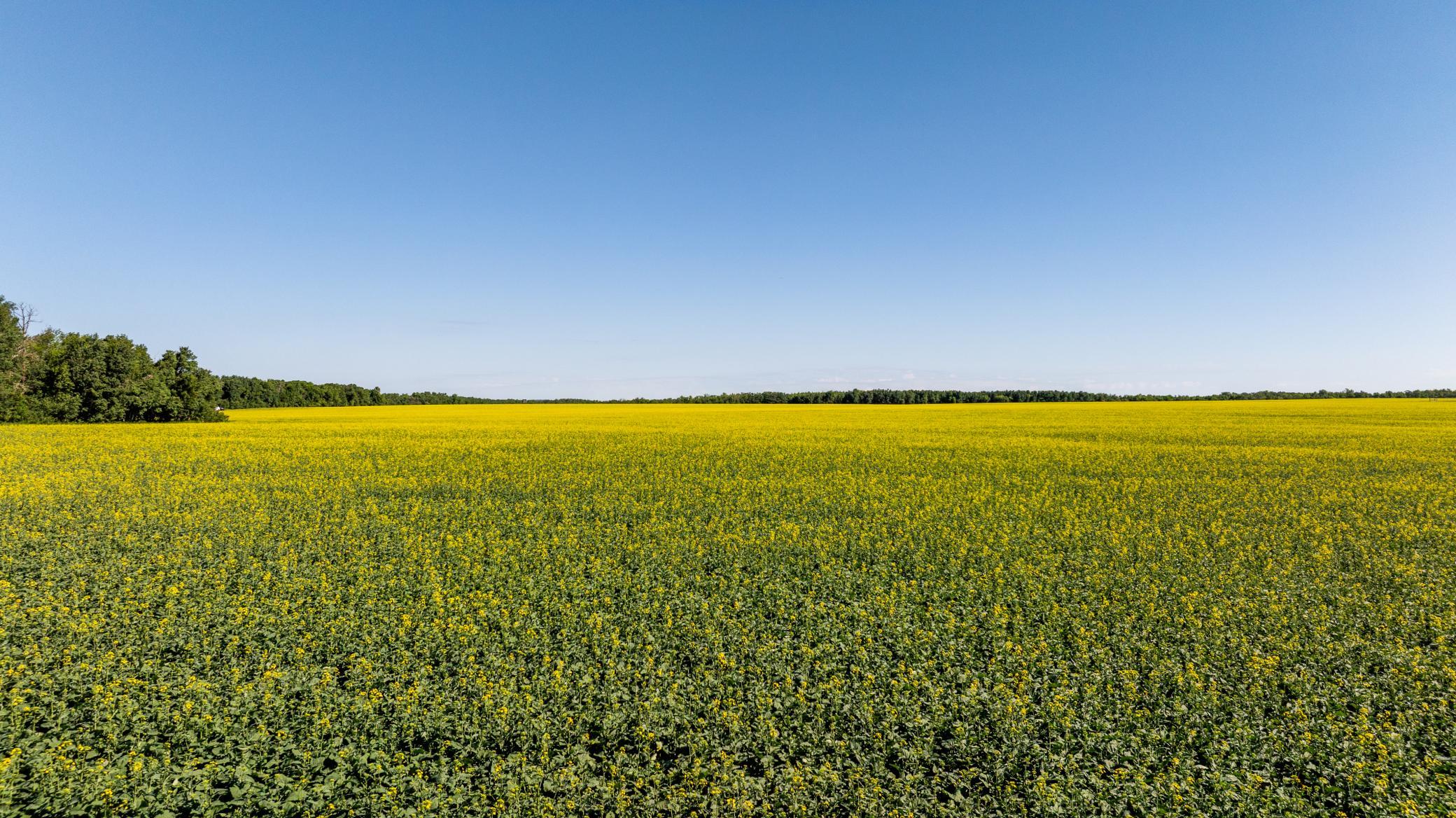 land for sale at TBD Lake Road in Bottineau, ND (photo 16 of 74)