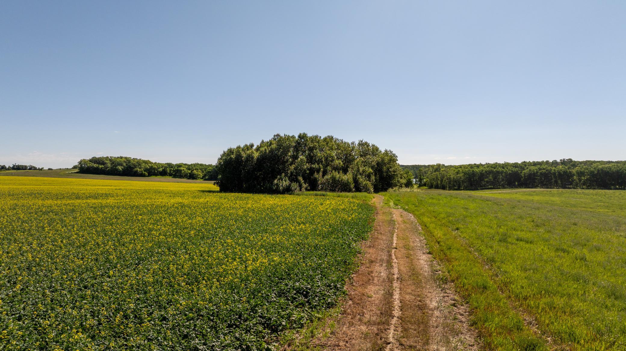 land for sale at TBD Lake Road in Bottineau, ND (photo 17 of 74)