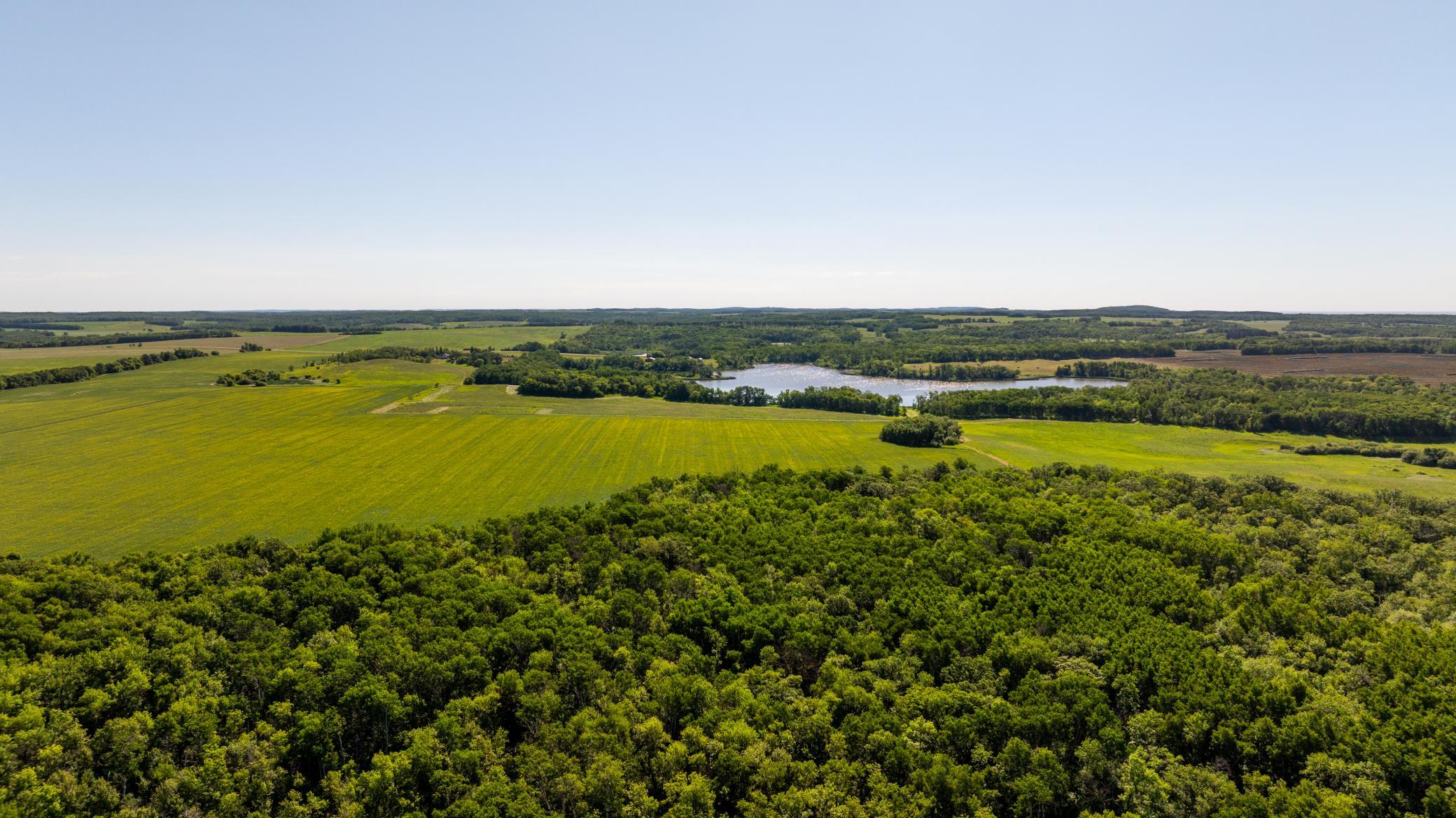 land for sale at TBD Lake Road in Bottineau, ND (photo 18 of 74)