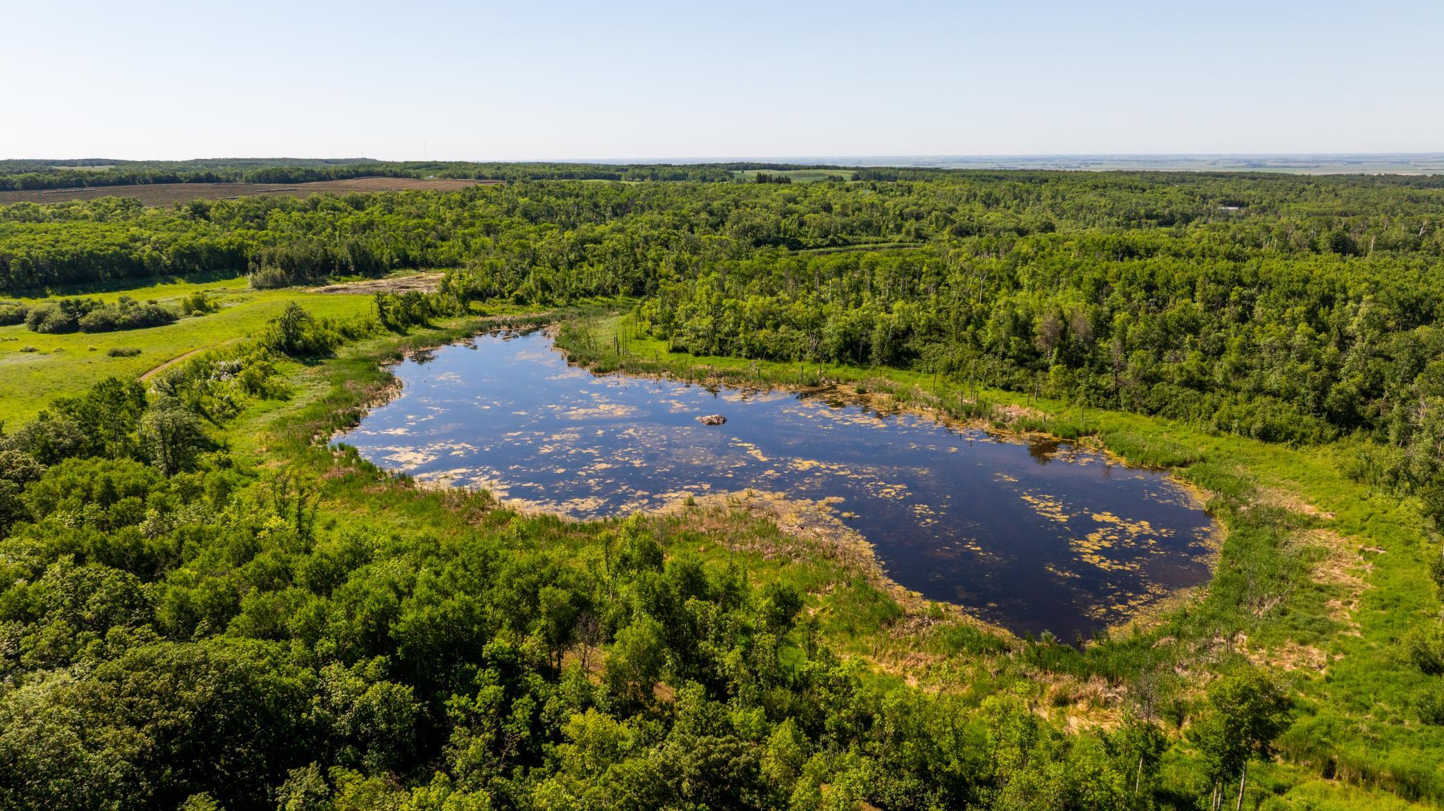 land for sale at TBD Lake Road in Bottineau, ND (photo 20 of 74)