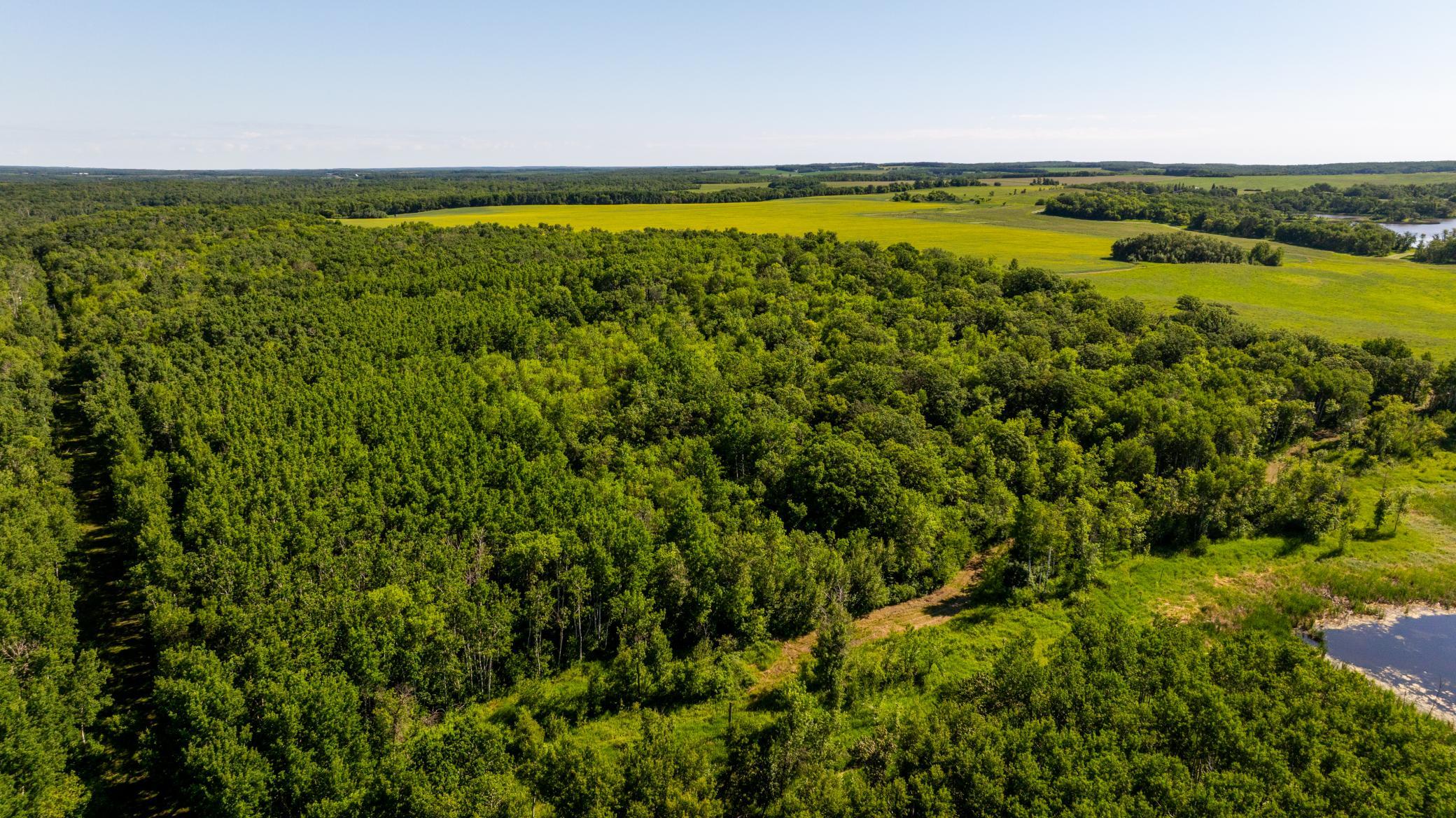 land for sale at TBD Lake Road in Bottineau, ND (photo 22 of 74)