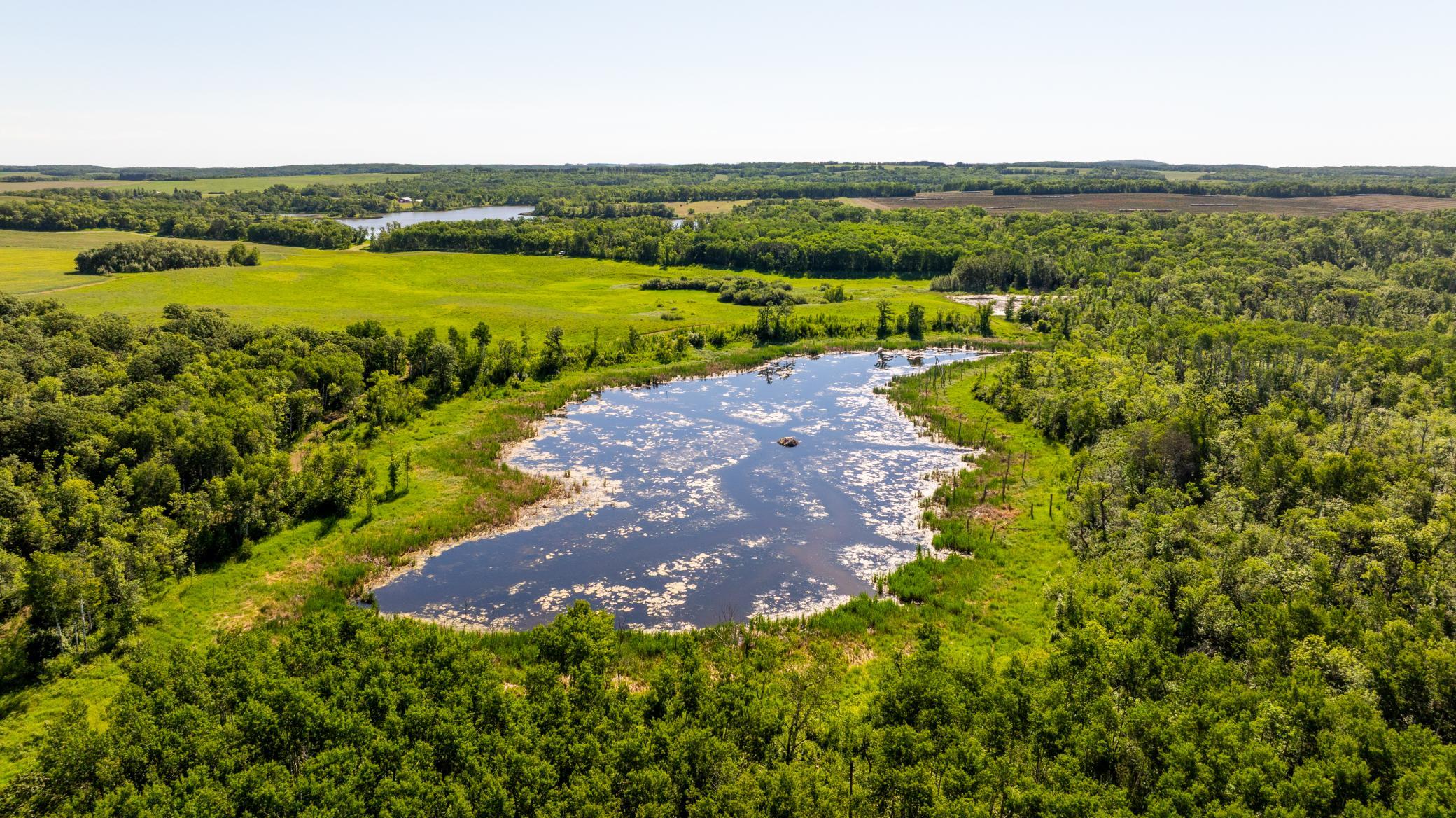 land for sale at TBD Lake Road in Bottineau, ND (photo 23 of 74)