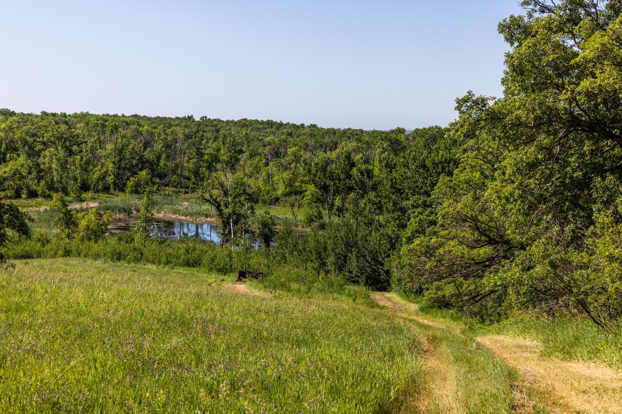 land for sale at TBD Lake Road in Bottineau, ND (photo 30 of 74)