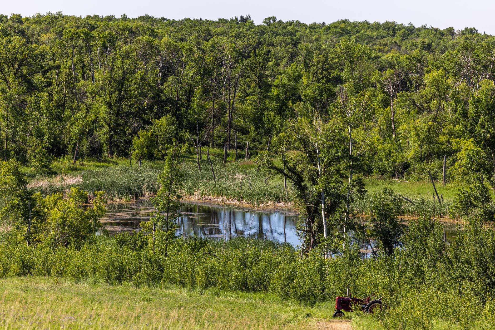 land for sale at TBD Lake Road in Bottineau, ND (photo 31 of 74)