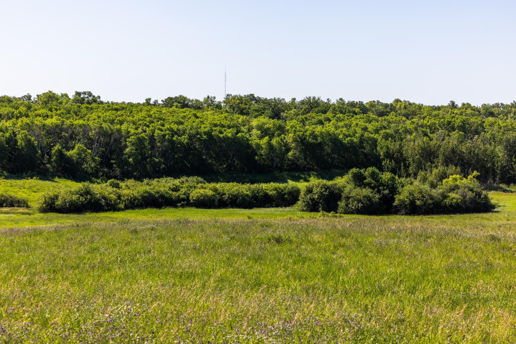 land for sale at TBD Lake Road in Bottineau, ND (photo 32 of 74)