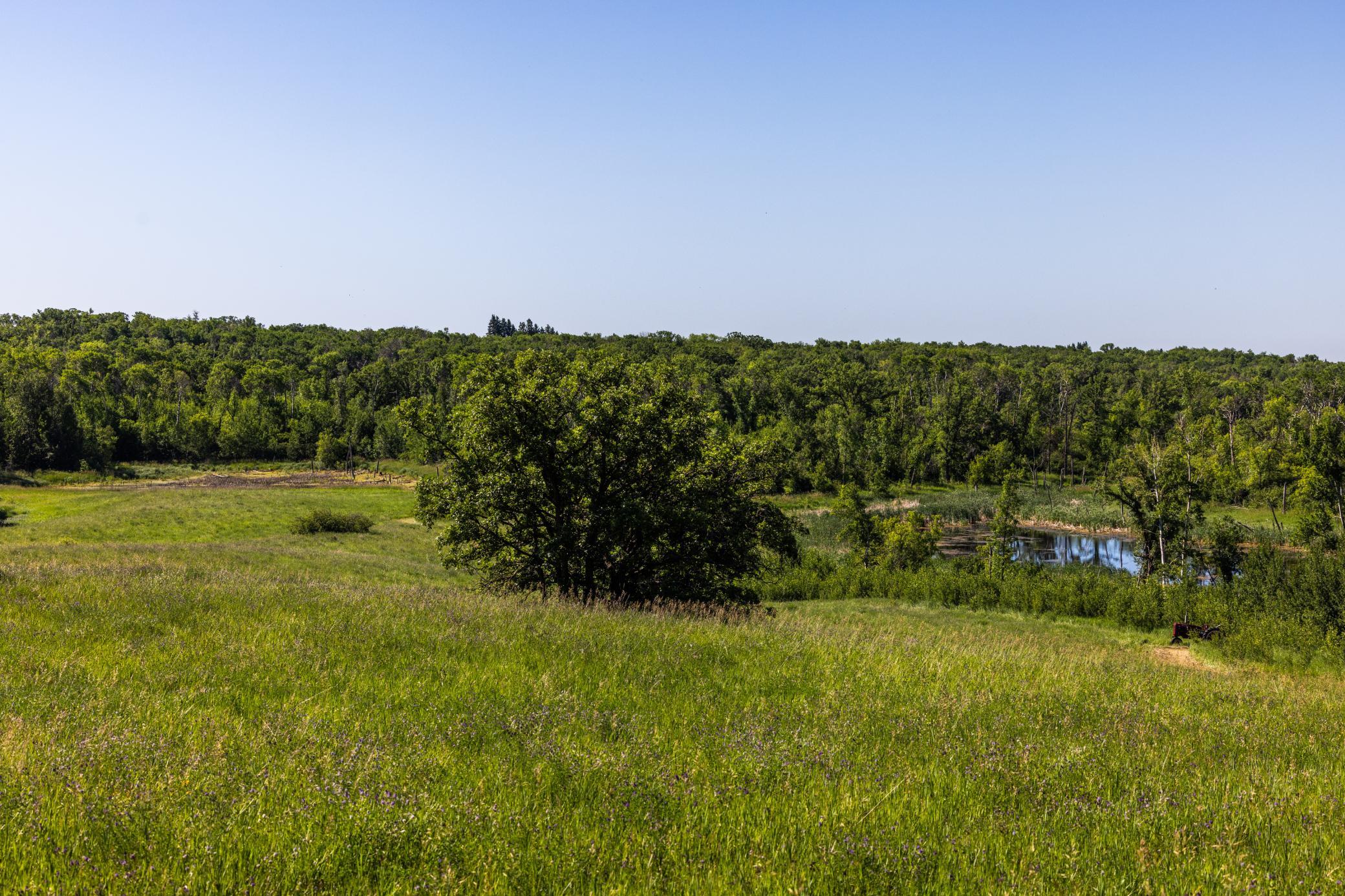 land for sale at TBD Lake Road in Bottineau, ND (photo 33 of 74)