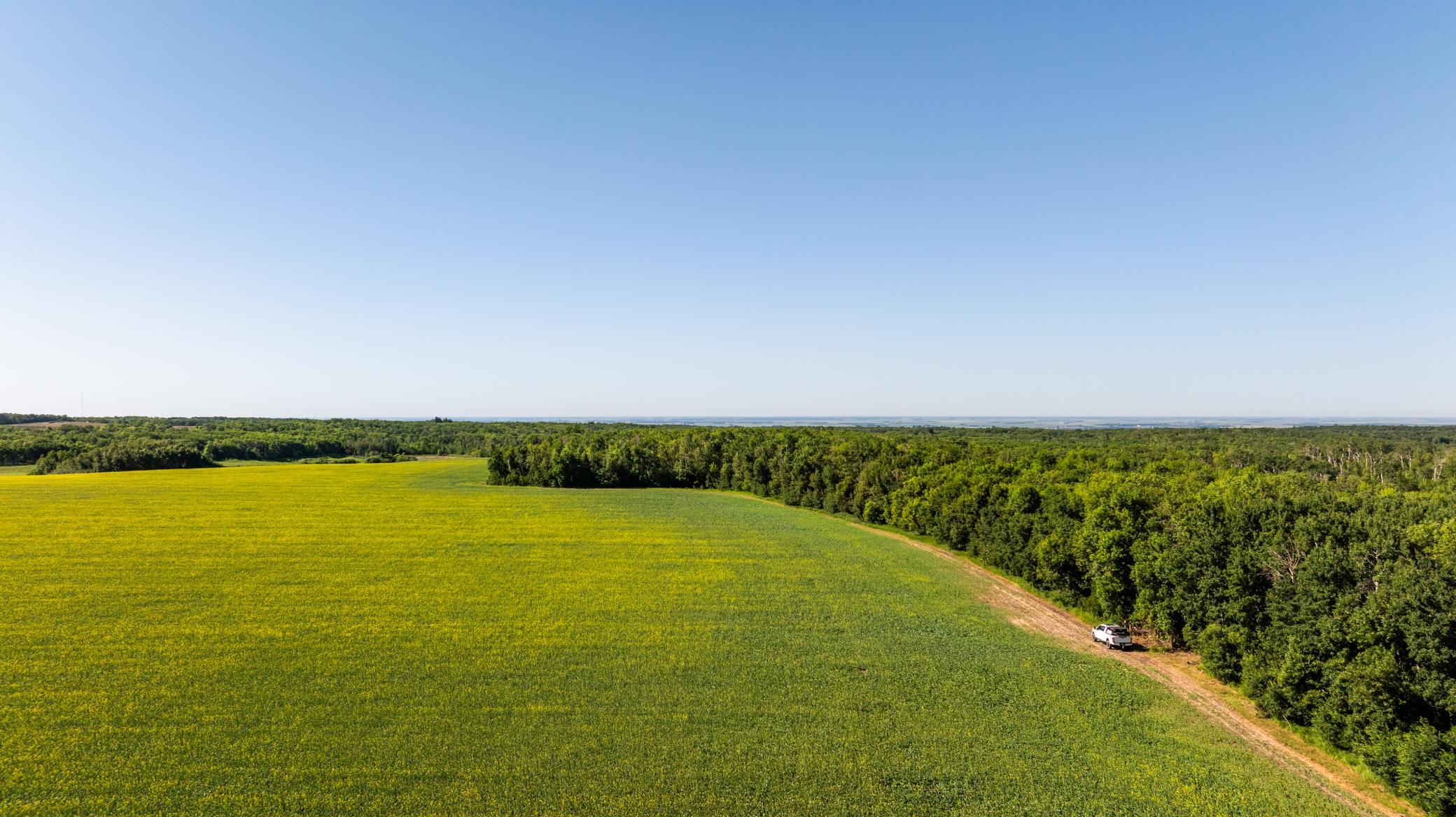 land for sale at TBD Lake Road in Bottineau, ND (photo 5 of 74)