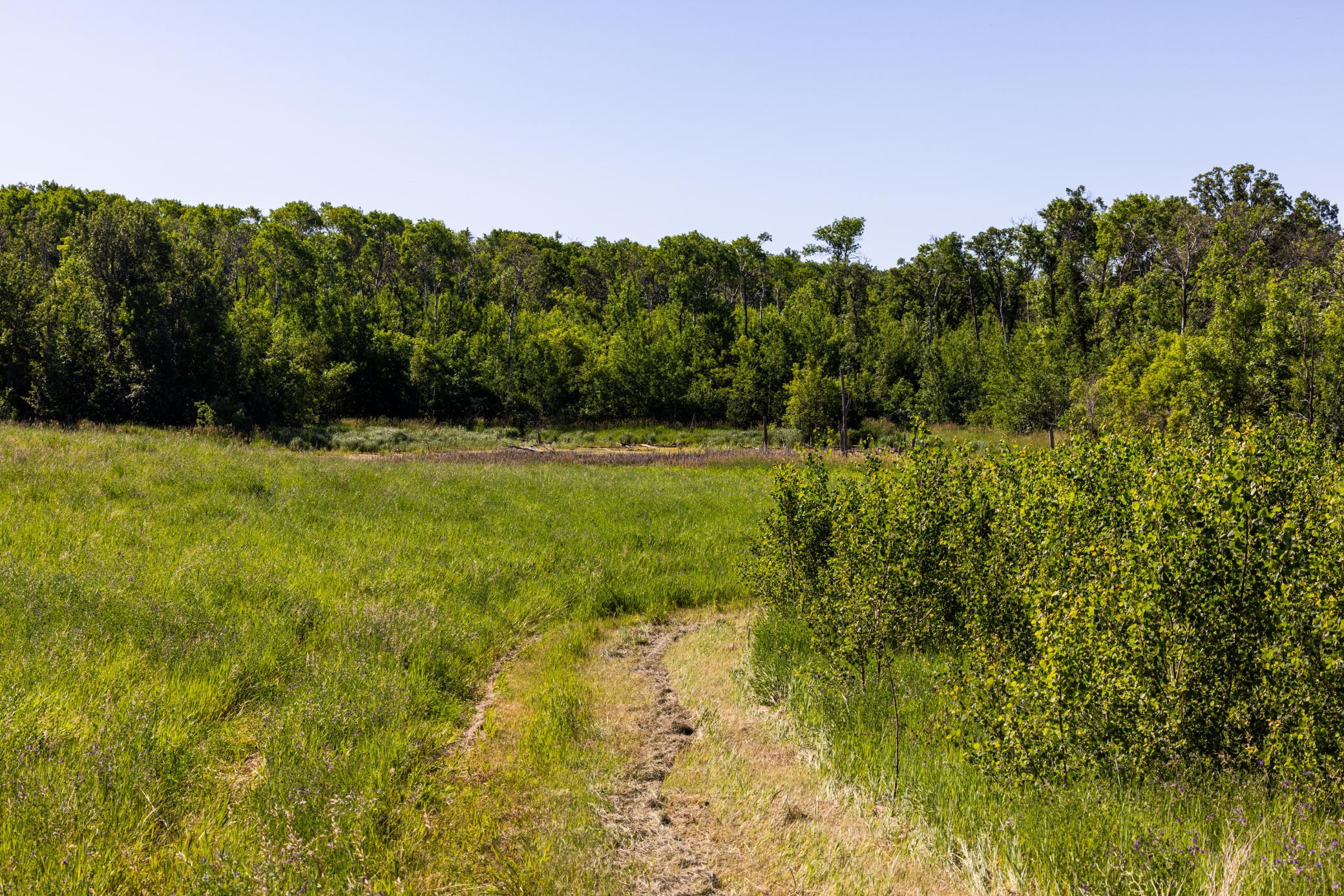 land for sale at TBD Lake Road in Bottineau, ND (photo 43 of 74)