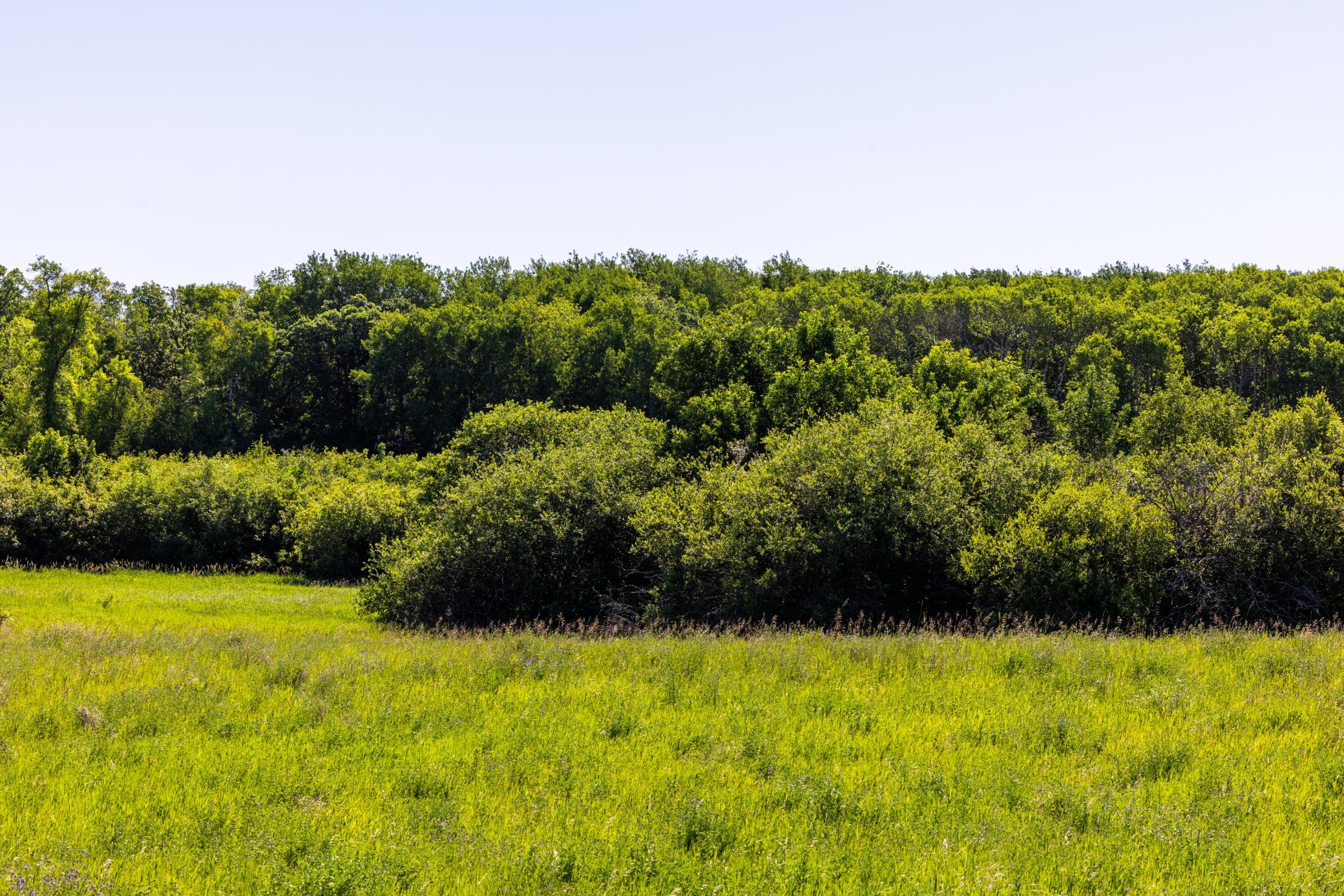 land for sale at TBD Lake Road in Bottineau, ND (photo 44 of 74)