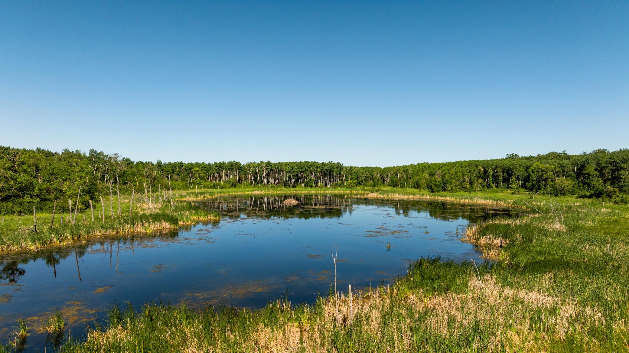 land for sale at TBD Lake Road in Bottineau, ND (photo 46 of 74)