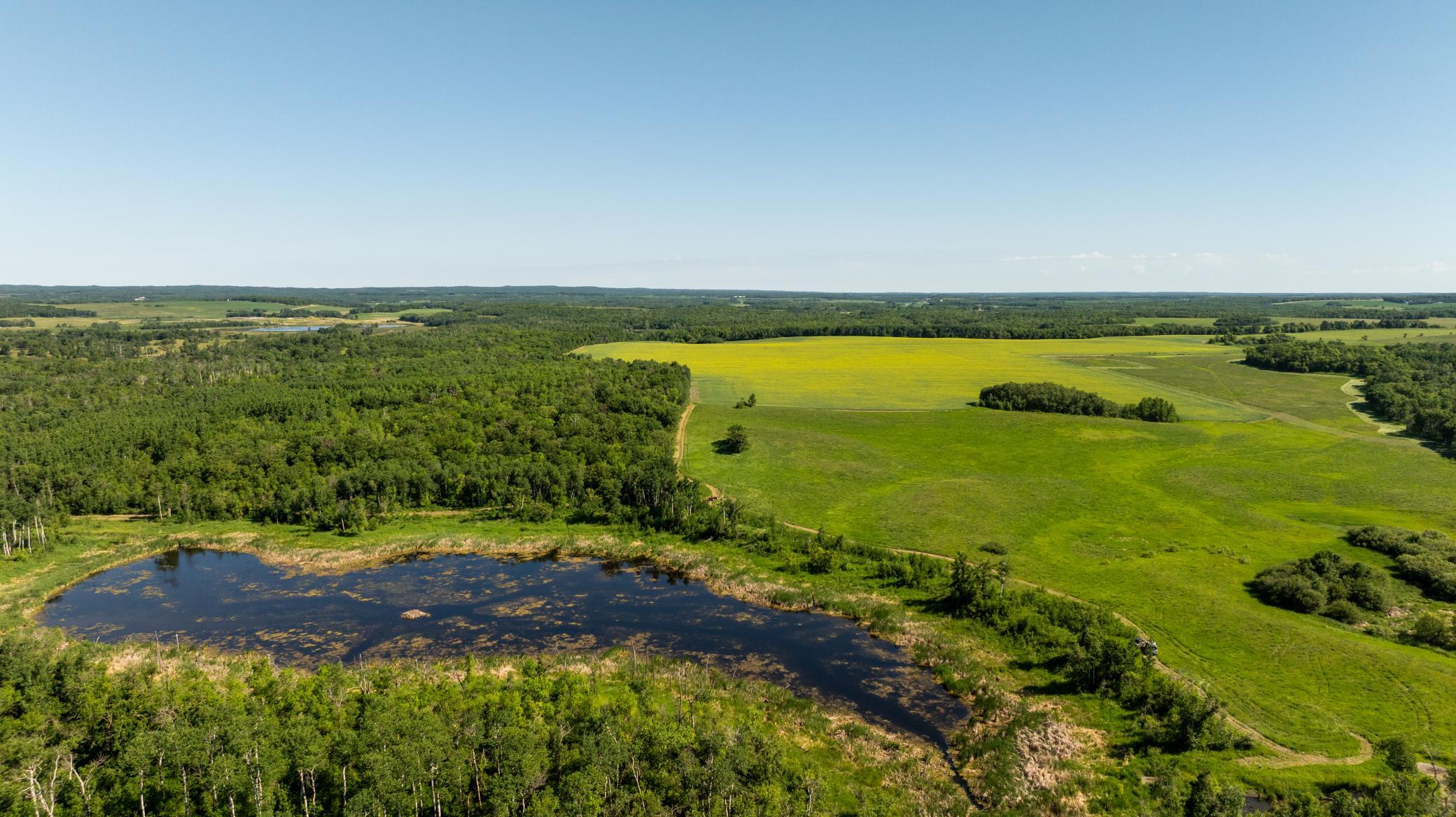 land for sale at TBD Lake Road in Bottineau, ND (photo 47 of 74)