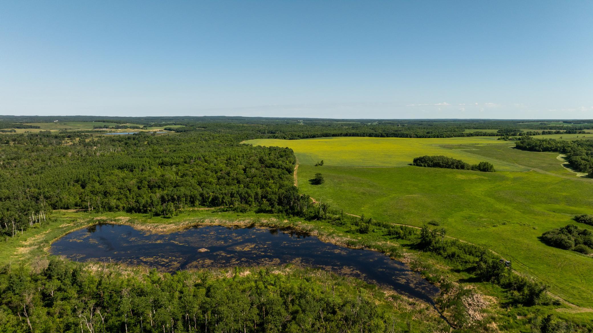 land for sale at TBD Lake Road in Bottineau, ND (photo 48 of 74)