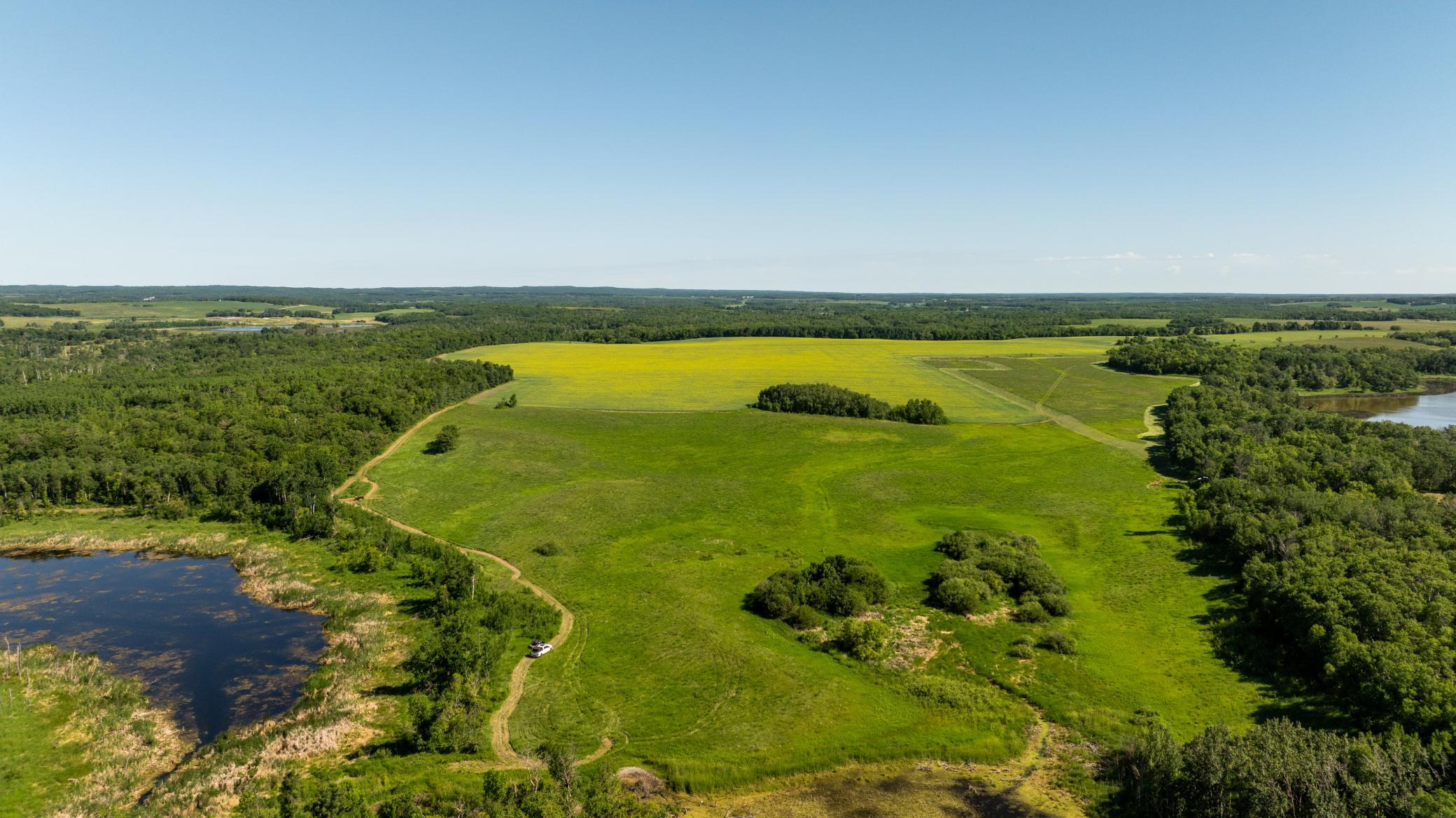 land for sale at TBD Lake Road in Bottineau, ND (photo 49 of 74)