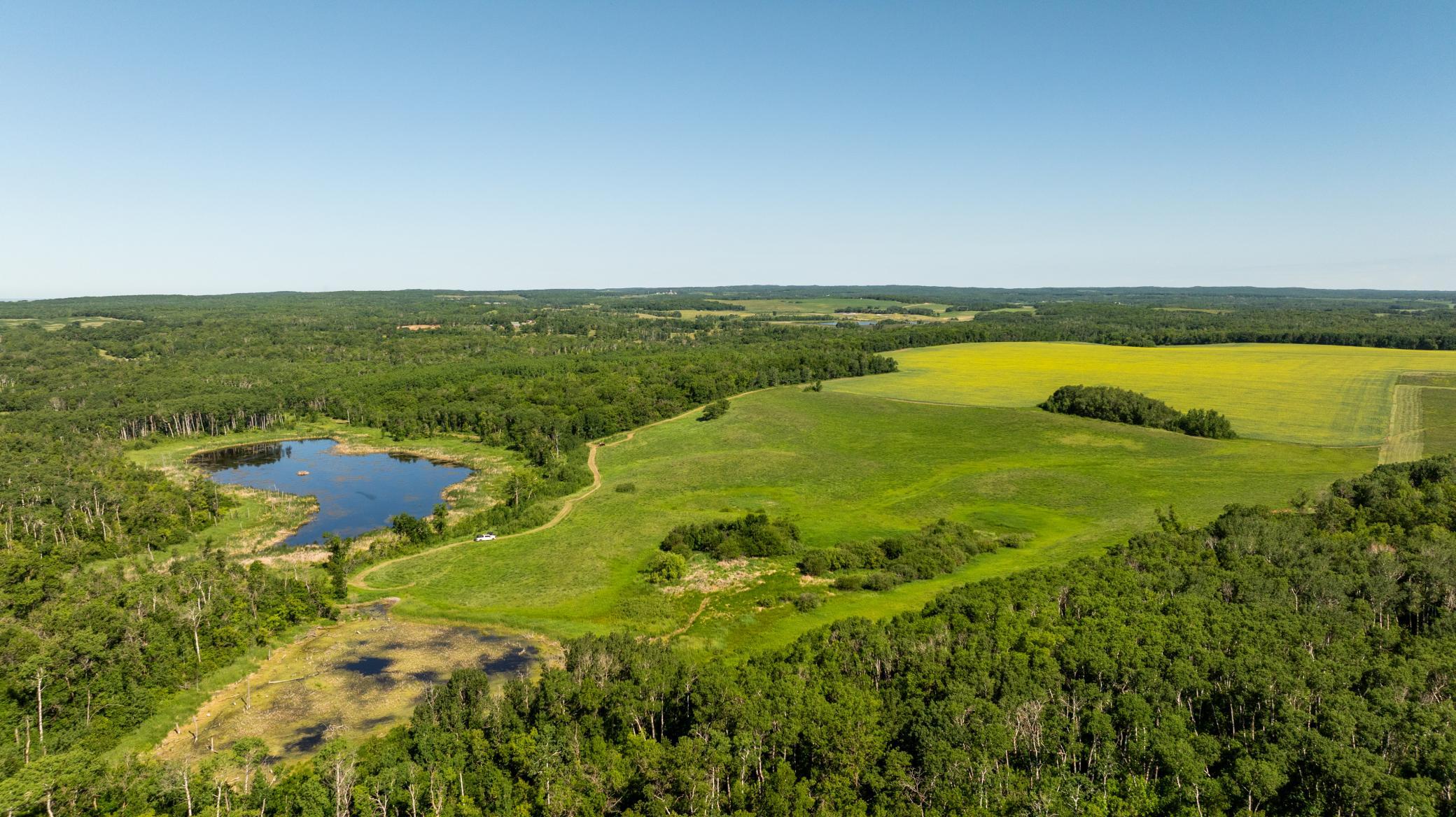 land for sale at TBD Lake Road in Bottineau, ND (photo 50 of 74)
