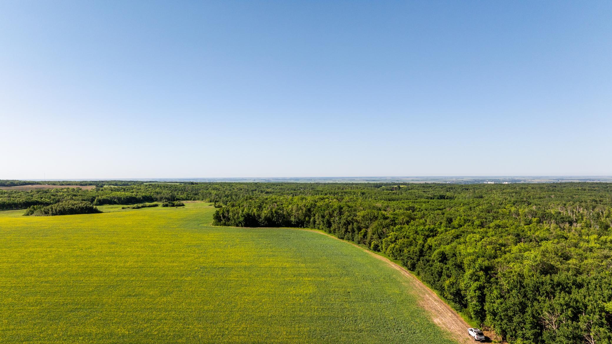 land for sale at TBD Lake Road in Bottineau, ND (photo 6 of 74)