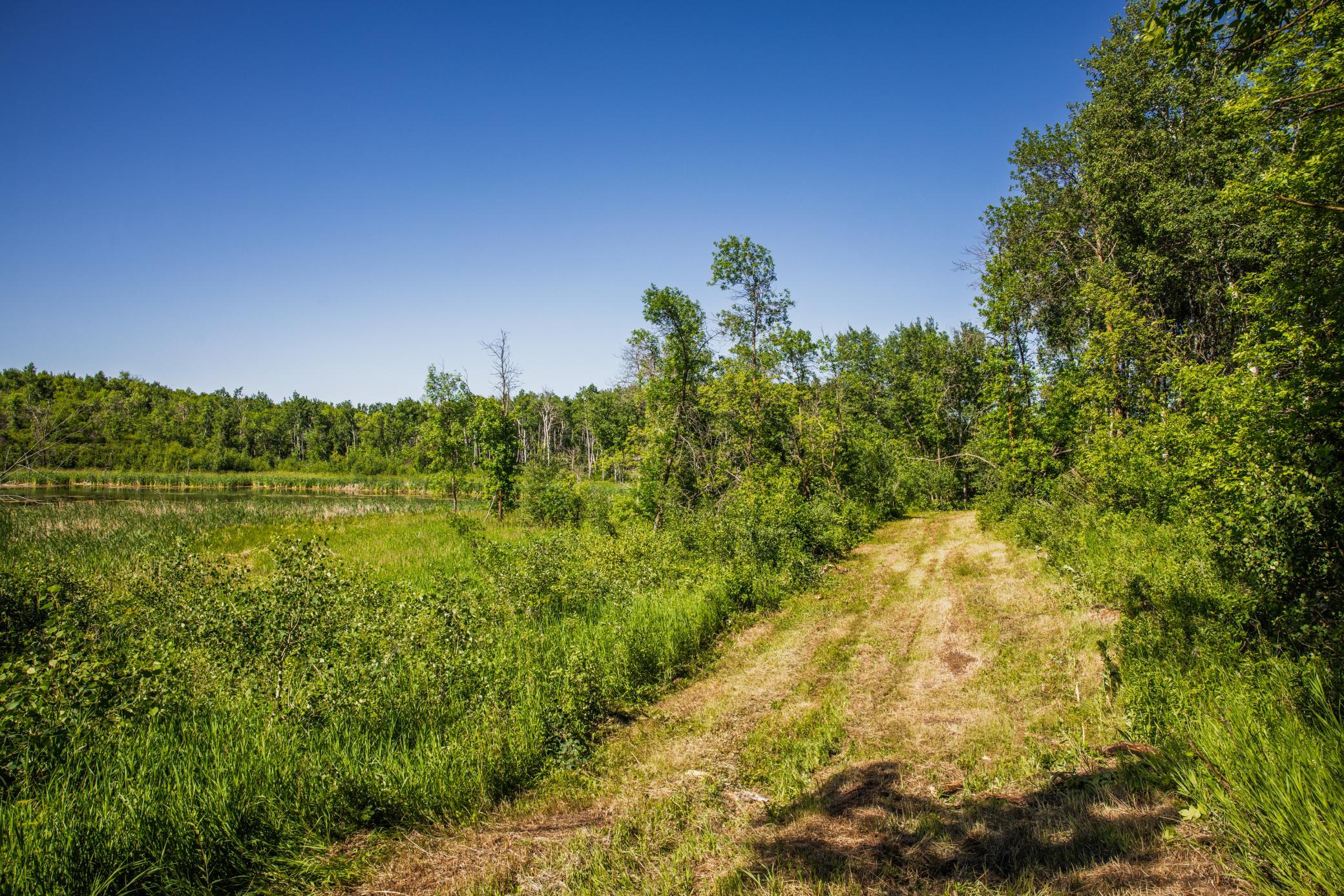 land for sale at TBD Lake Road in Bottineau, ND (photo 52 of 74)