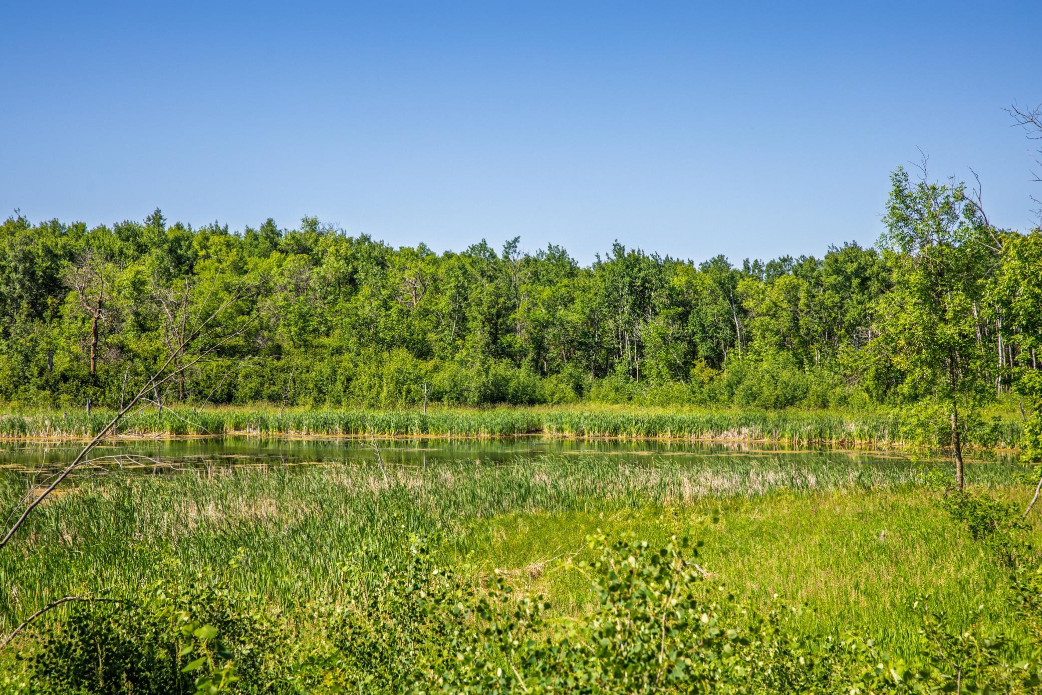 land for sale at TBD Lake Road in Bottineau, ND (photo 54 of 74)