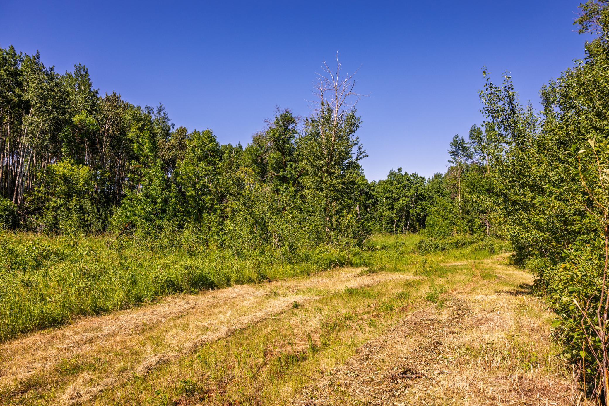 land for sale at TBD Lake Road in Bottineau, ND (photo 56 of 74)