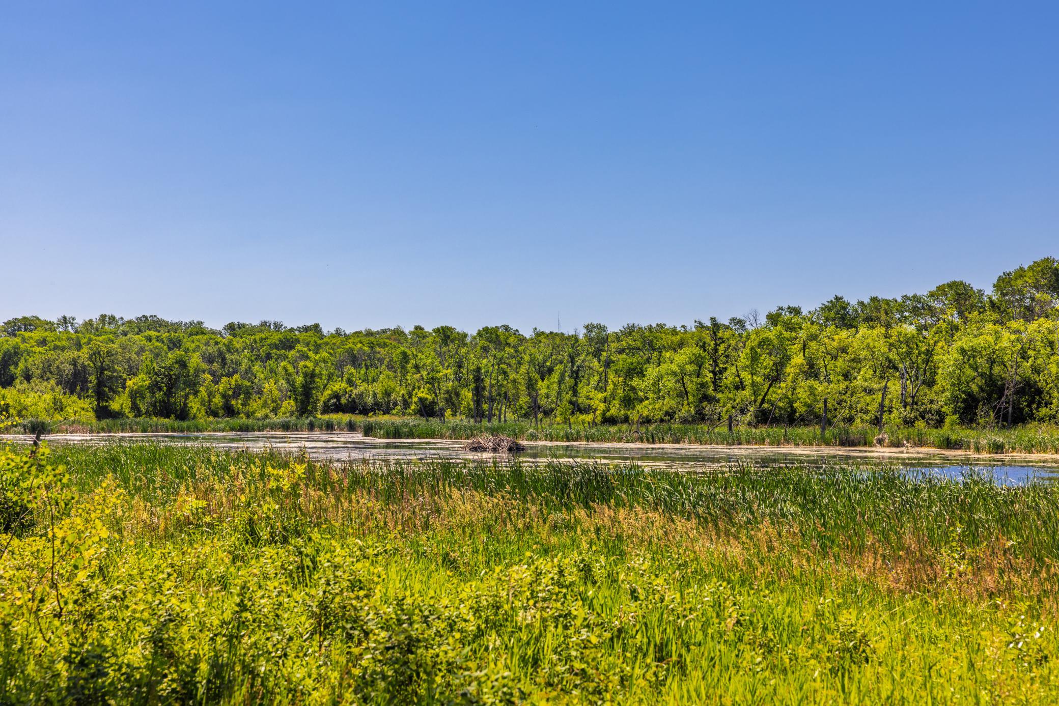 land for sale at TBD Lake Road in Bottineau, ND (photo 58 of 74)