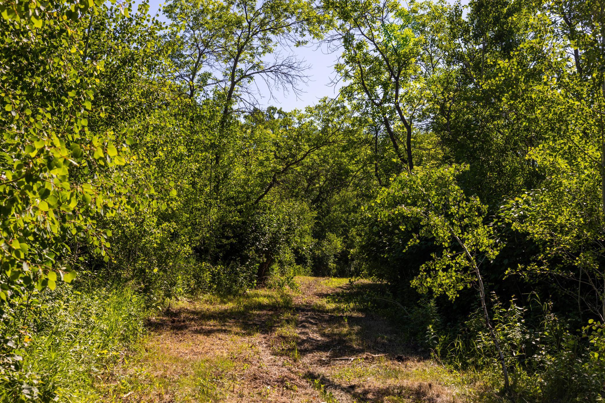 land for sale at TBD Lake Road in Bottineau, ND (photo 59 of 74)