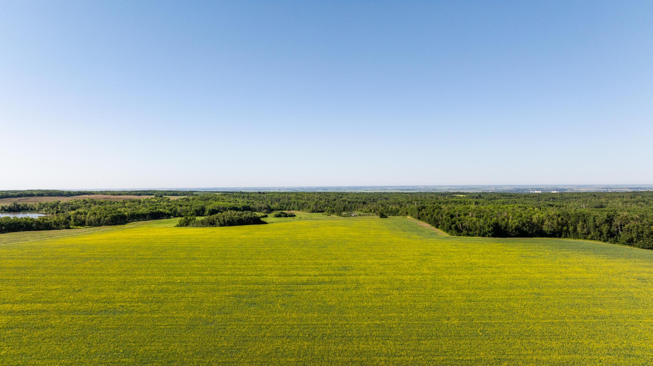land for sale at TBD Lake Road in Bottineau, ND (photo 7 of 74)
