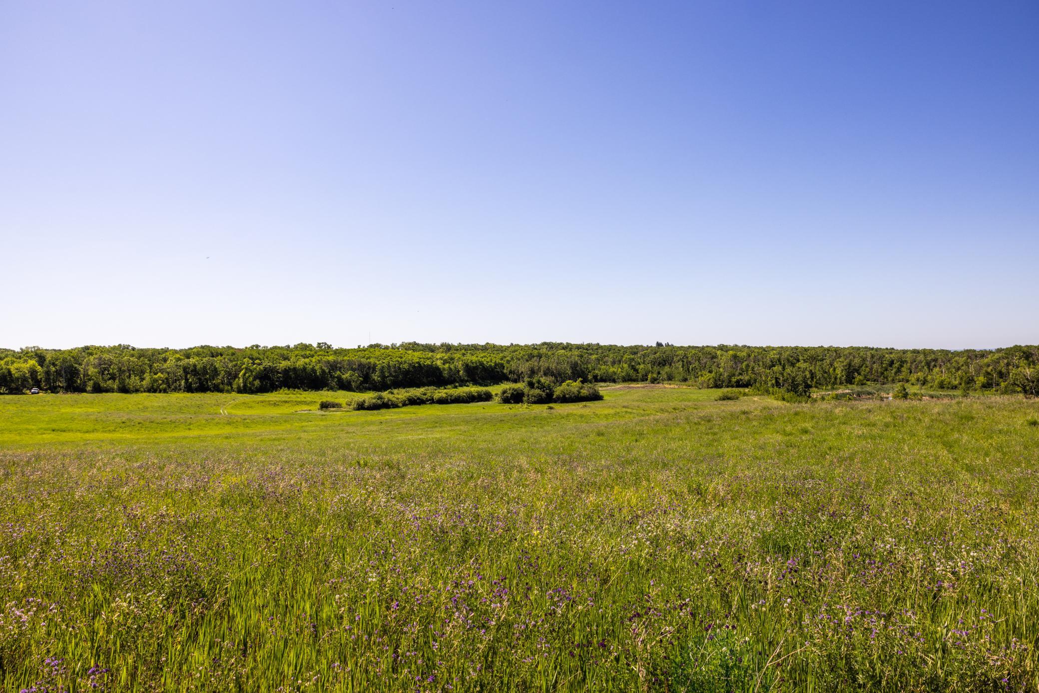 land for sale at TBD Lake Road in Bottineau, ND (photo 61 of 74)