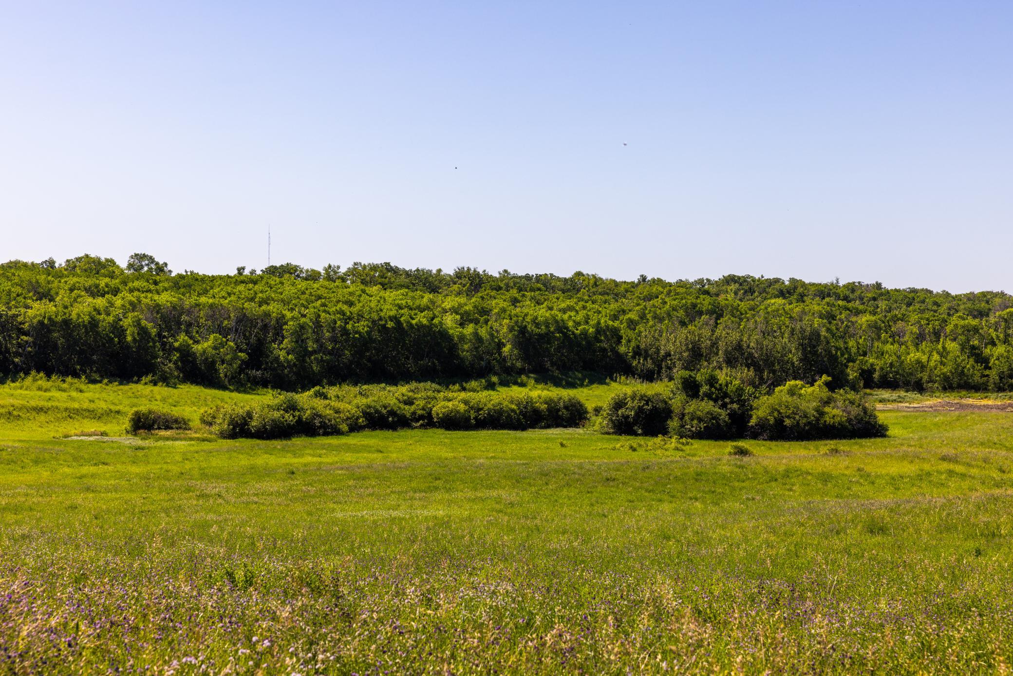 land for sale at TBD Lake Road in Bottineau, ND (photo 62 of 74)