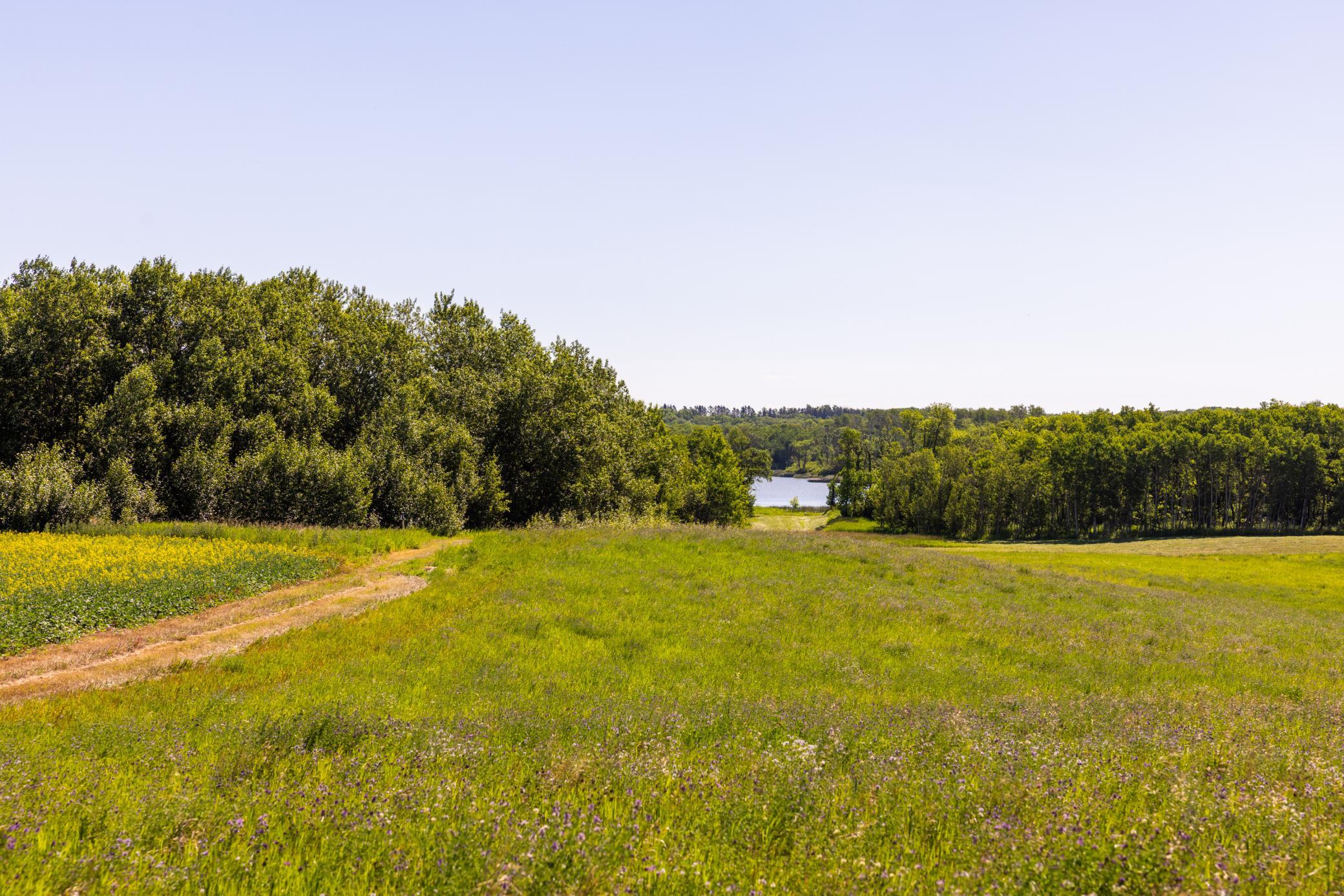 land for sale at TBD Lake Road in Bottineau, ND (photo 63 of 74)