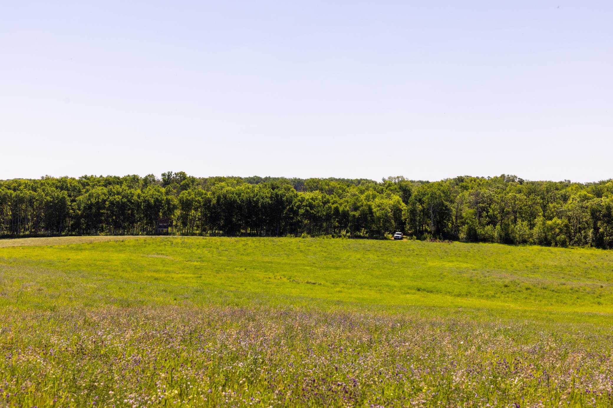 land for sale at TBD Lake Road in Bottineau, ND (photo 64 of 74)