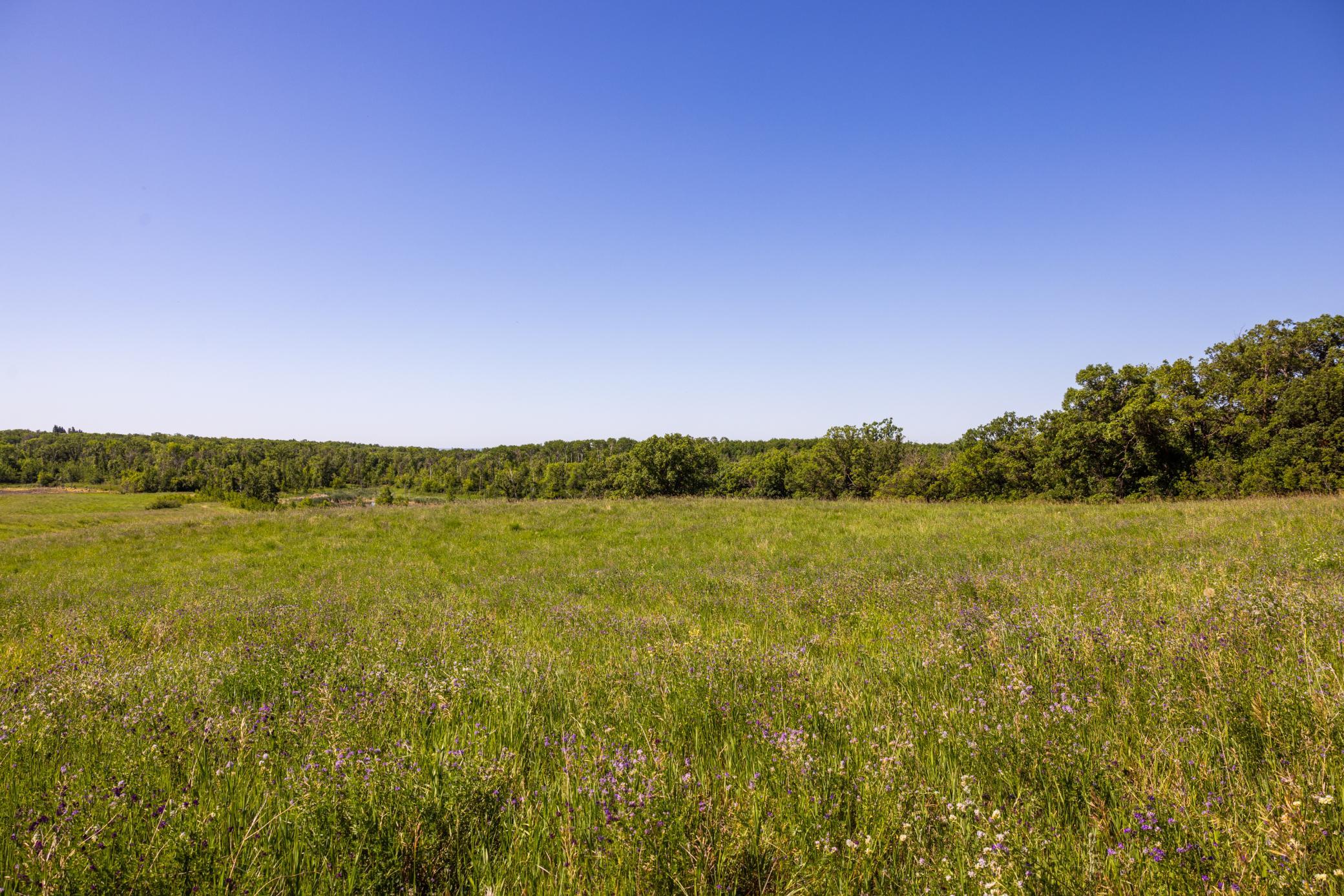 land for sale at TBD Lake Road in Bottineau, ND (photo 65 of 74)