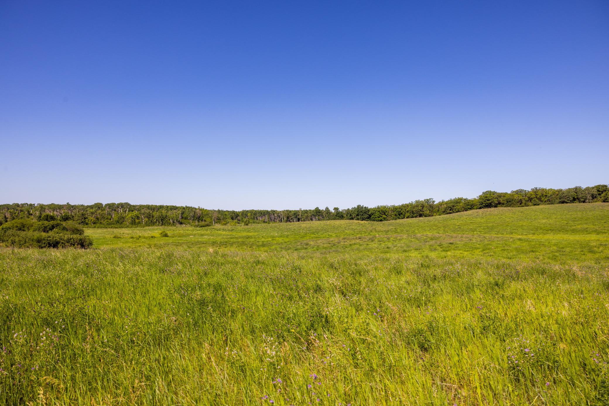 land for sale at TBD Lake Road in Bottineau, ND (photo 67 of 74)