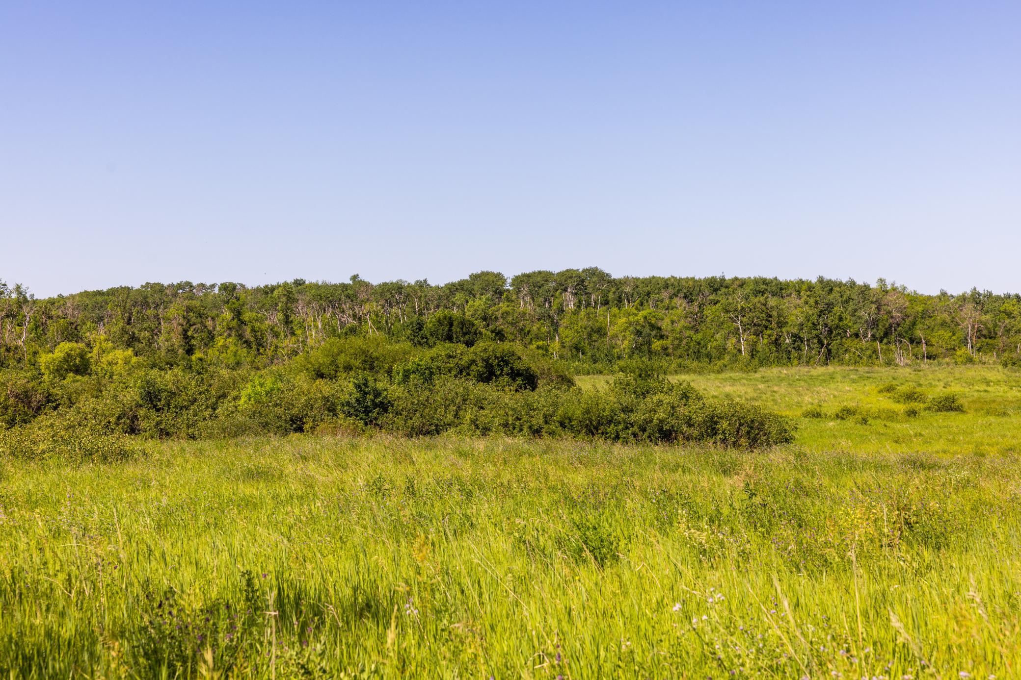 land for sale at TBD Lake Road in Bottineau, ND (photo 68 of 74)