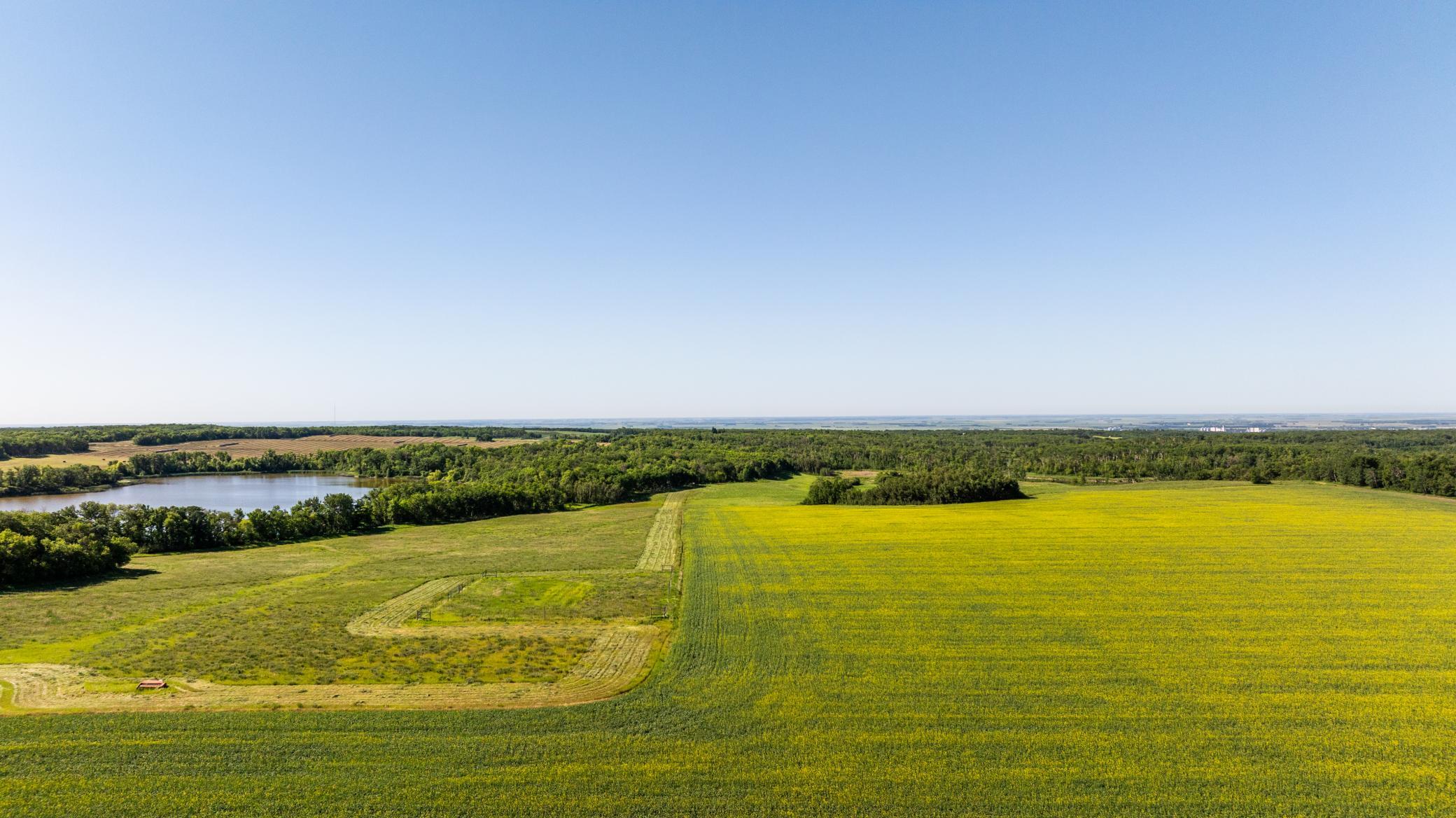 land for sale at TBD Lake Road in Bottineau, ND (photo 8 of 74)