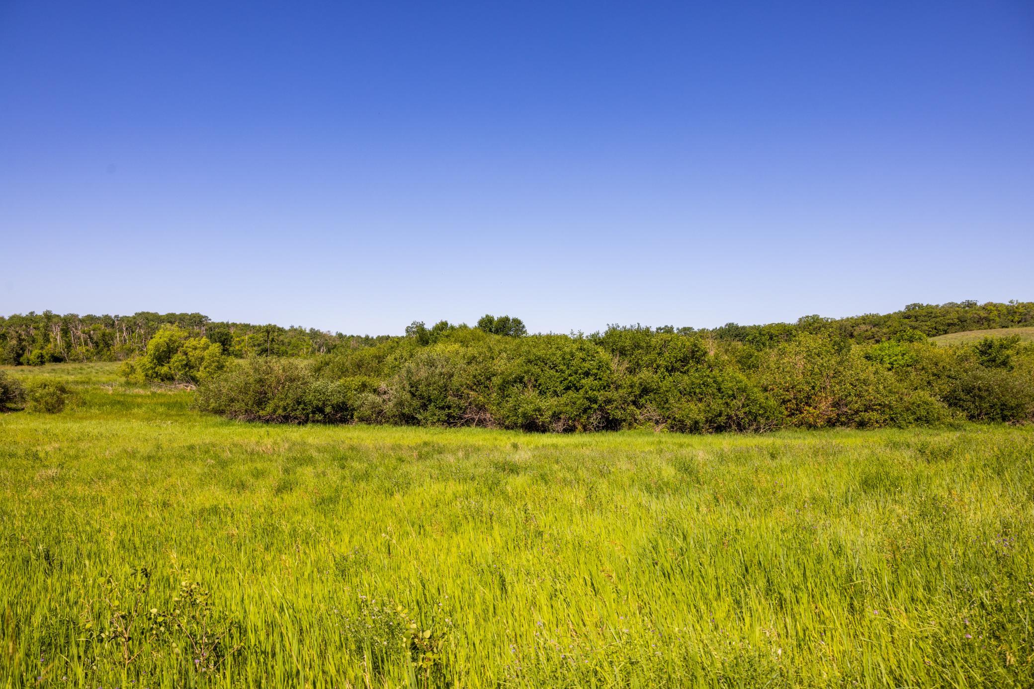 land for sale at TBD Lake Road in Bottineau, ND (photo 71 of 74)
