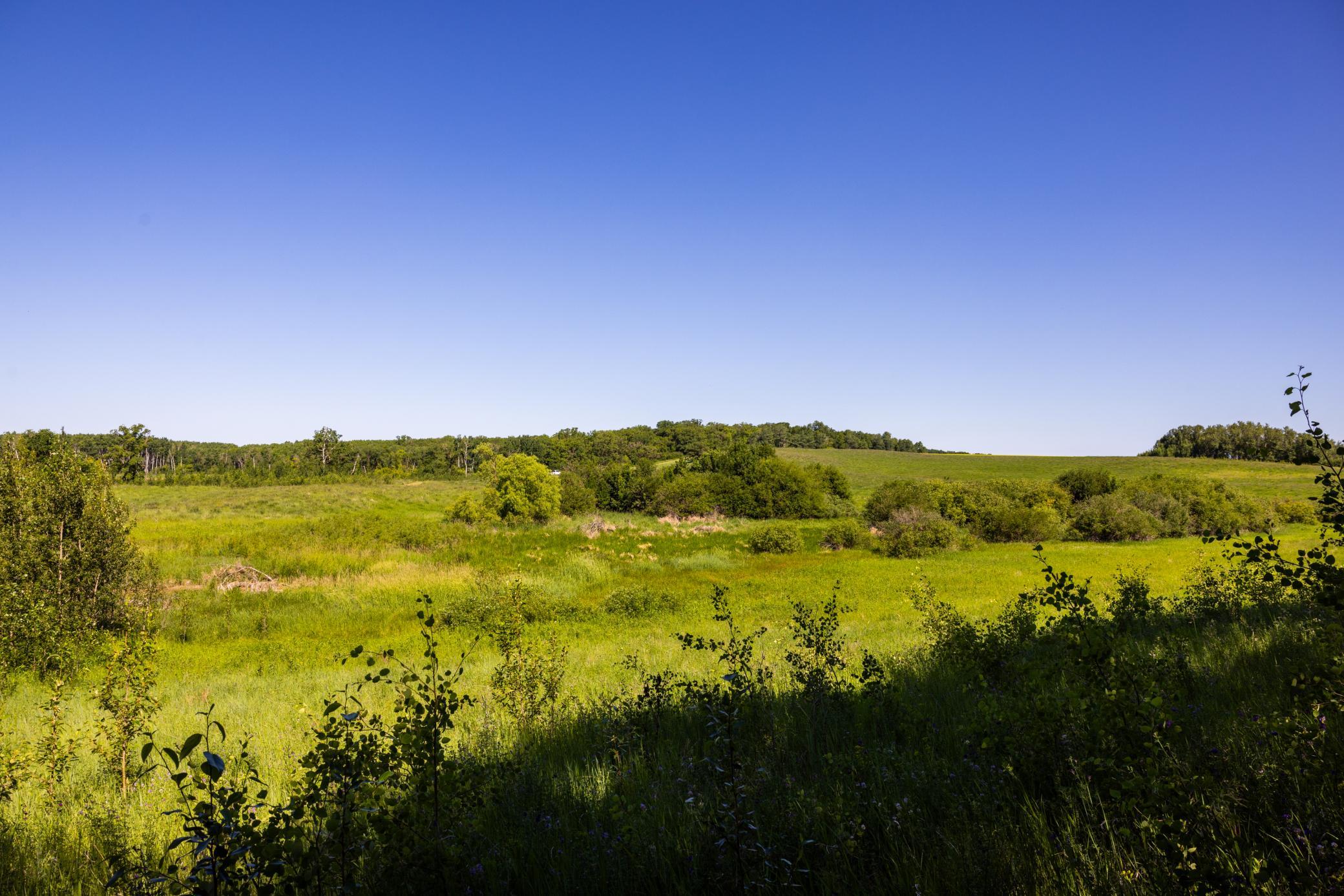 land for sale at TBD Lake Road in Bottineau, ND (photo 72 of 74)