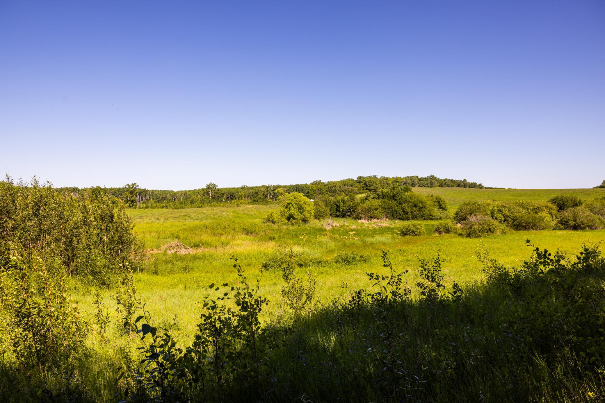 land for sale at TBD Lake Road in Bottineau, ND (photo 74 of 74)