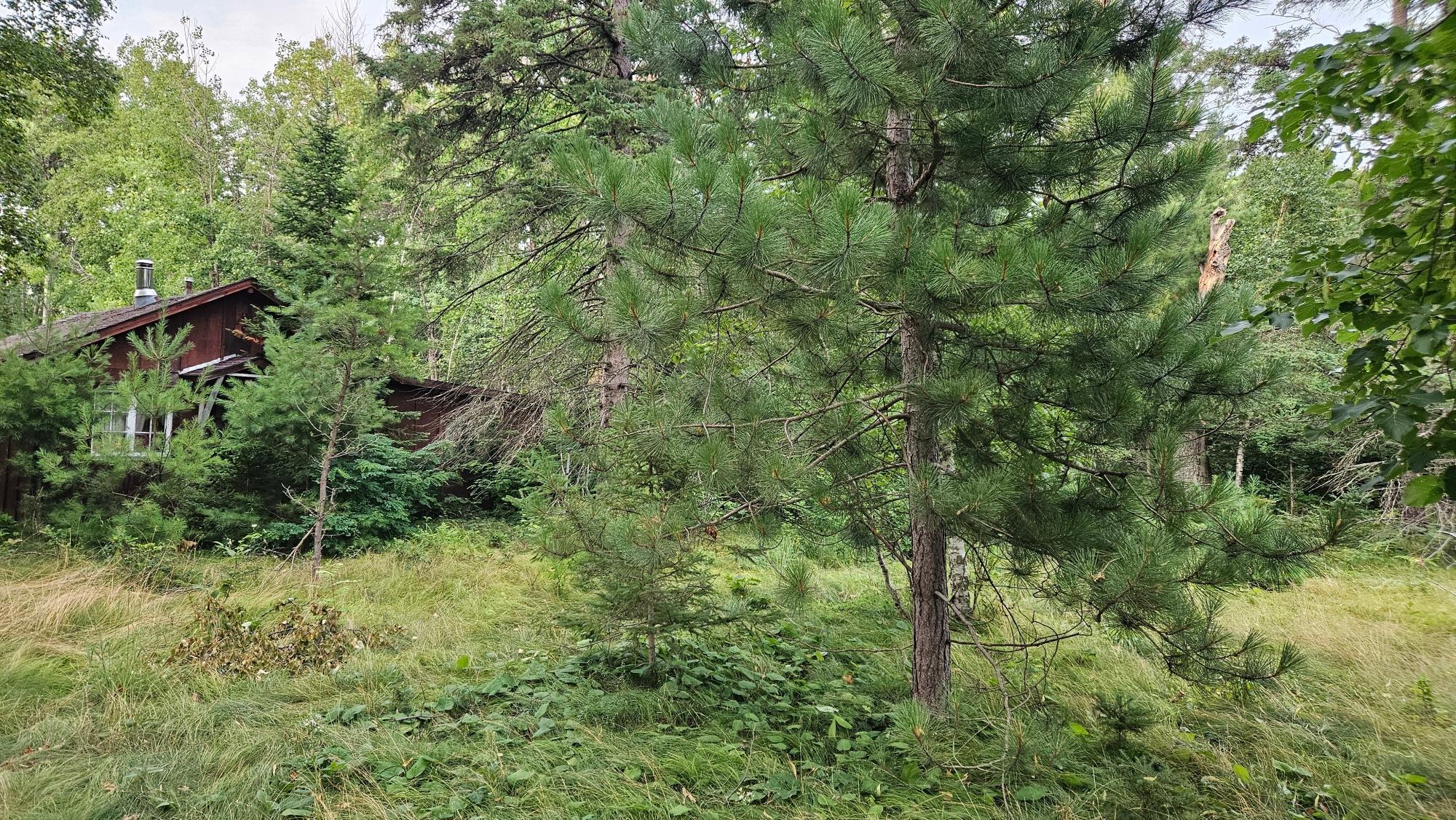land for sale at 7712 County Road 13 in Nisswa, MN (photo 3 of 11)