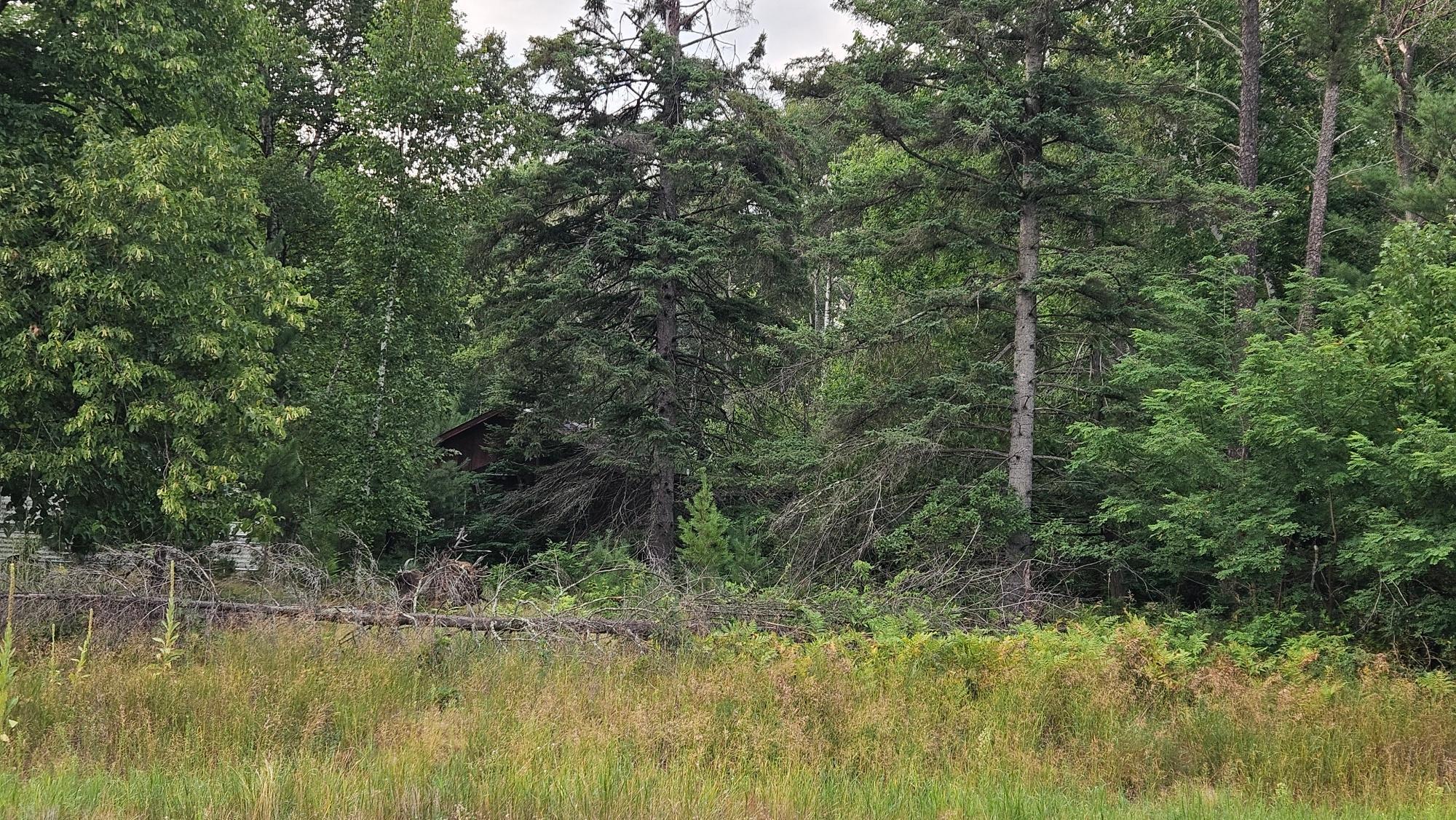 land for sale at 7712 County Road 13 in Nisswa, MN (photo 5 of 11)