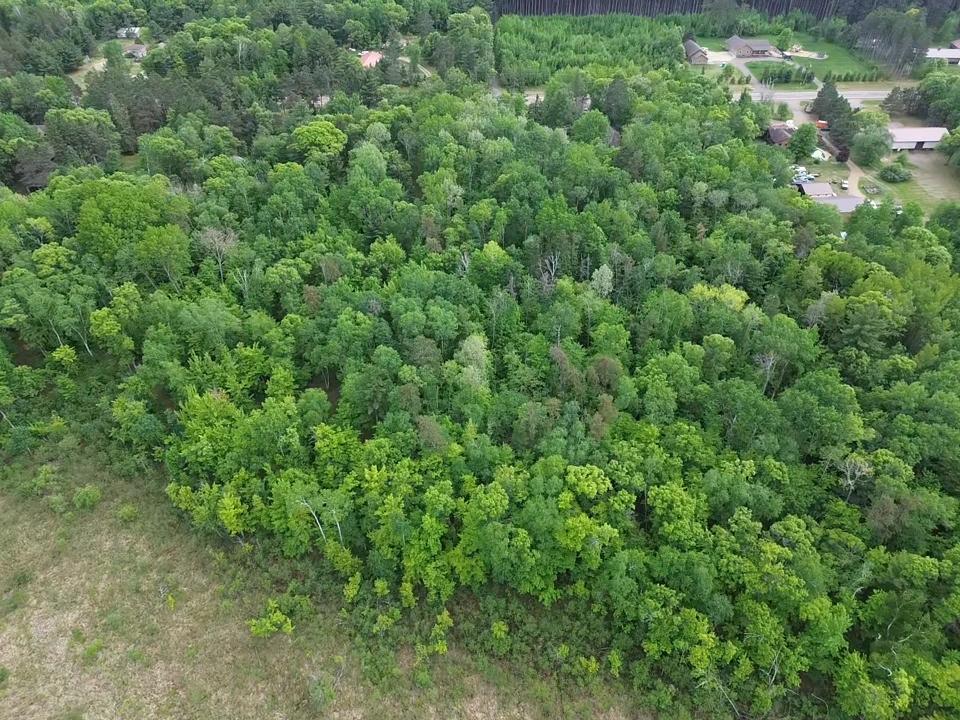 land for sale at 7712 County Road 13 in Nisswa, MN (photo 9 of 11)