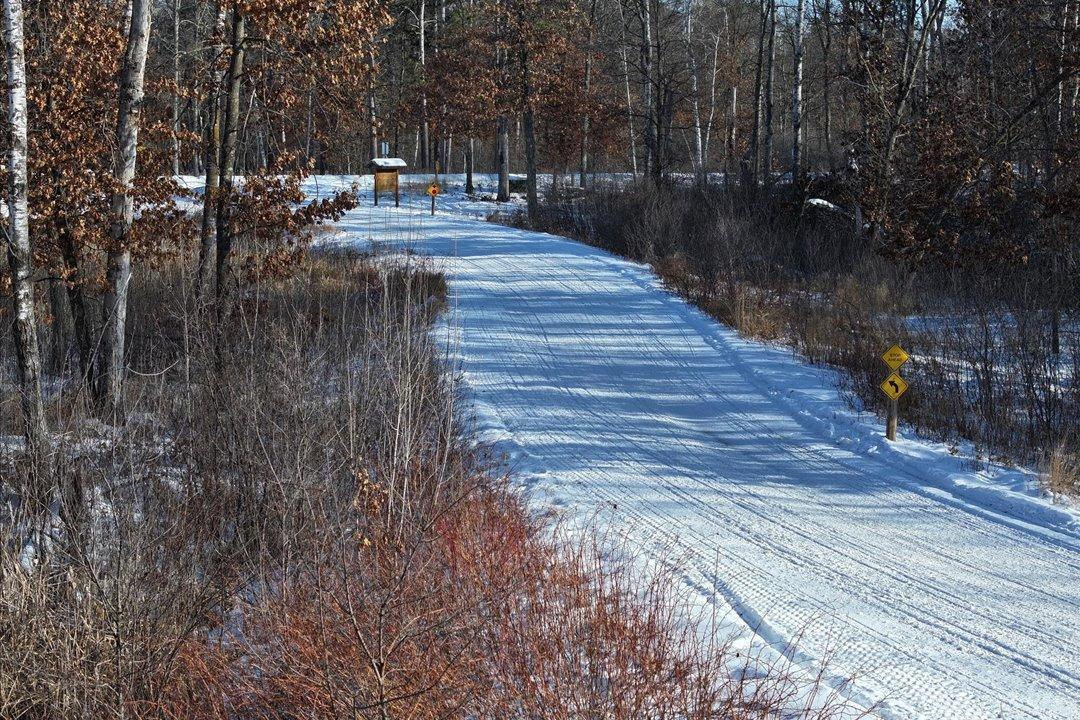 25483 Twin Leaf Circle, Nisswa MN 56468 - Photo 10 of 10