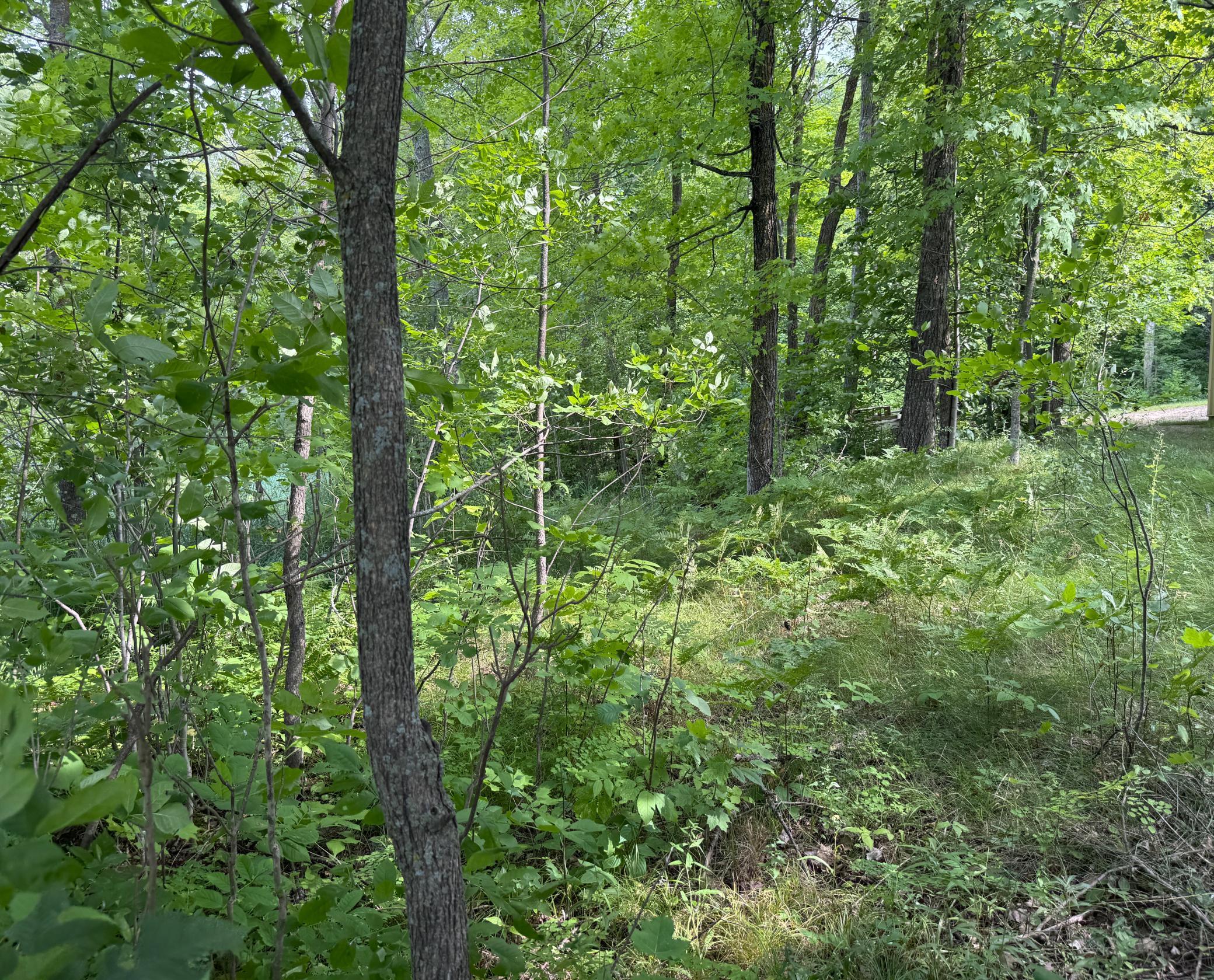 1956 single family home for sale at 35922 500th Lane in Palisade, MN — 2 bed, 1 bath (photo 18 of 46)