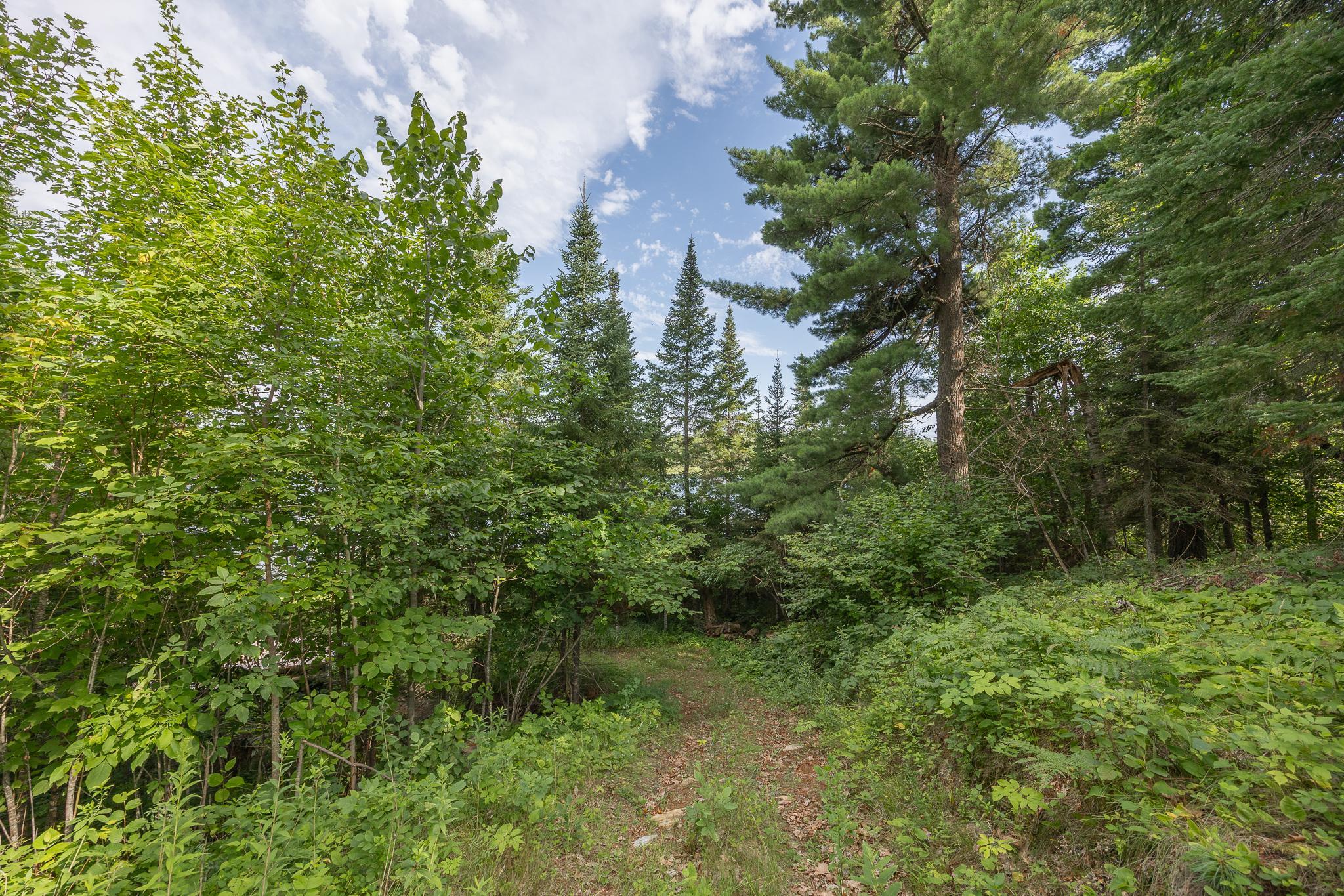 1694 Buckshot Trail NW, Hackensack MN 56452 - Photo 21 of 30